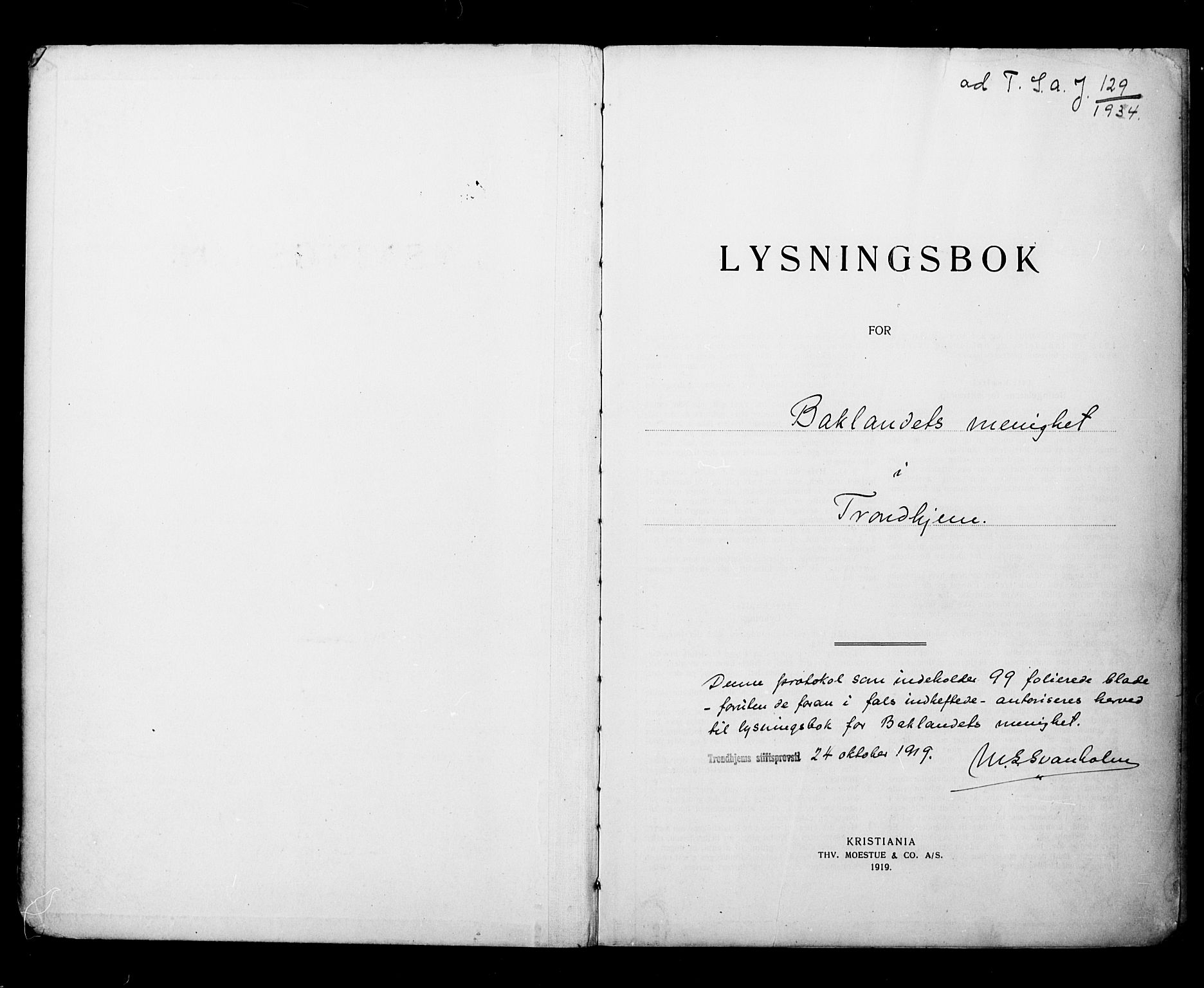 Ministerialprotokoller, klokkerbøker og fødselsregistre - Sør-Trøndelag, AV/SAT-A-1456/604/L0196: Lysningsprotokoll nr. 604A17, 1919-1927
