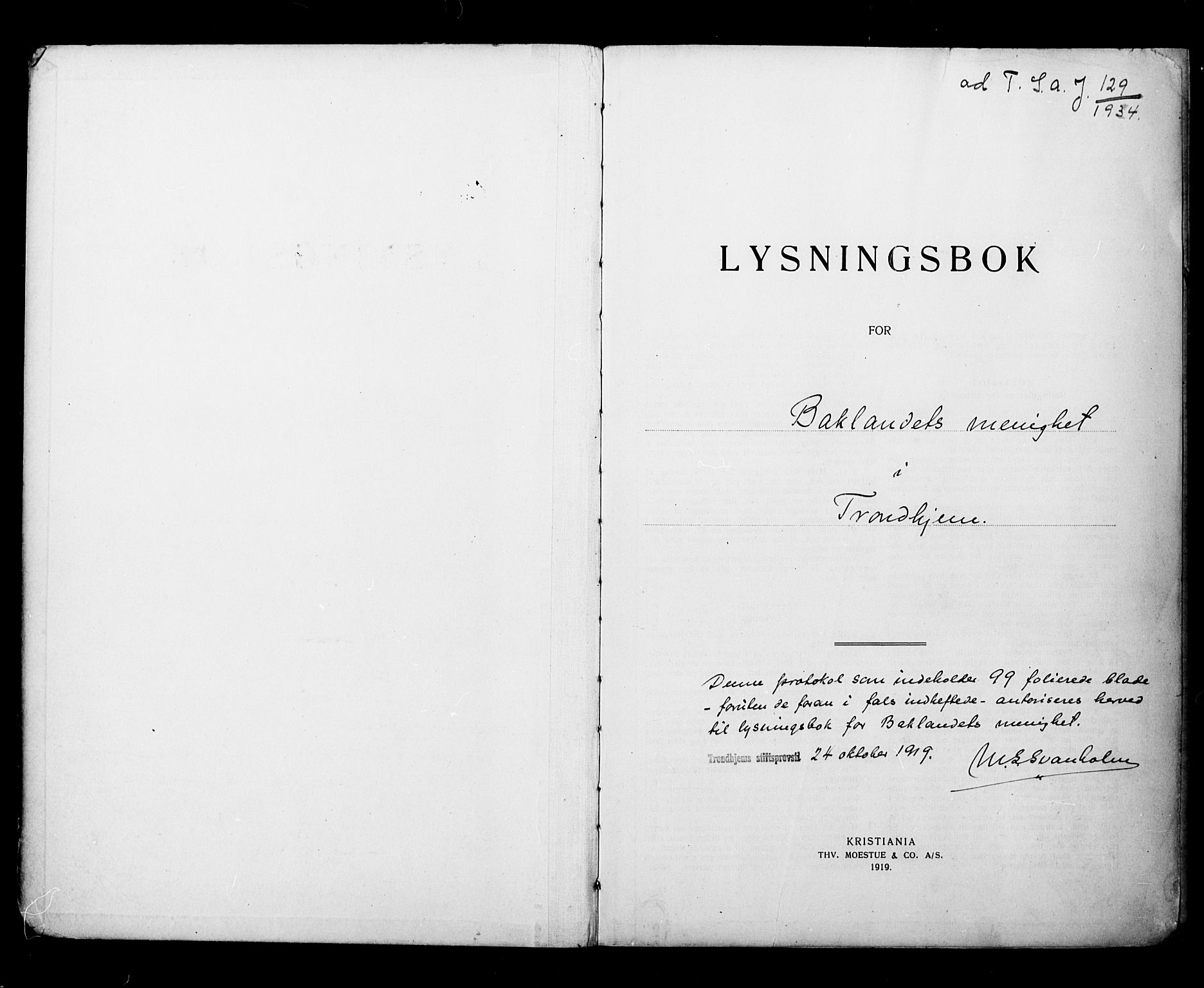 Ministerialprotokoller, klokkerbøker og fødselsregistre - Sør-Trøndelag, SAT/A-1456/604/L0196: Lysningsprotokoll nr. 604A17, 1919-1927