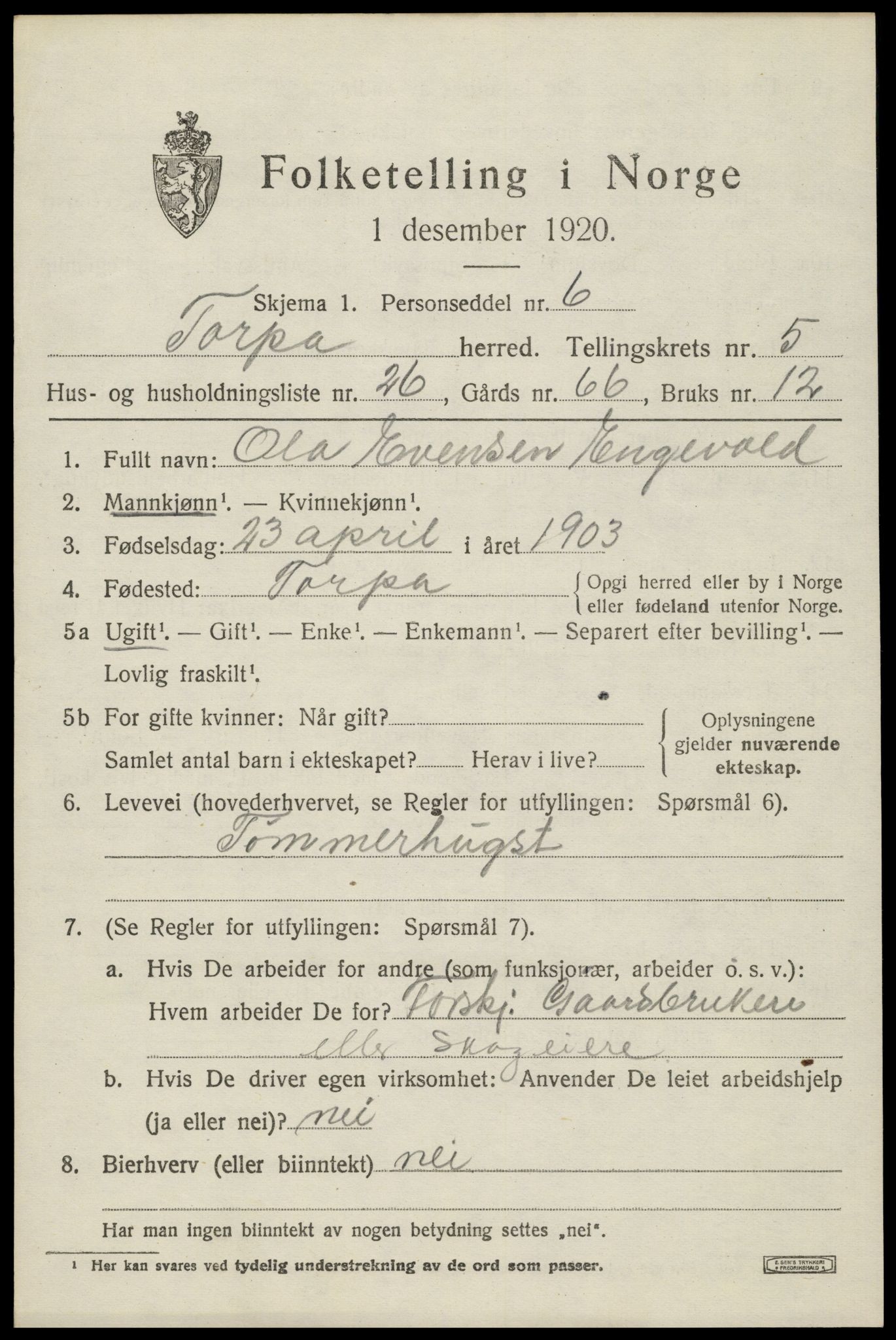 SAH, Folketelling 1920 for 0539 Torpa herred, 1920, s. 3781