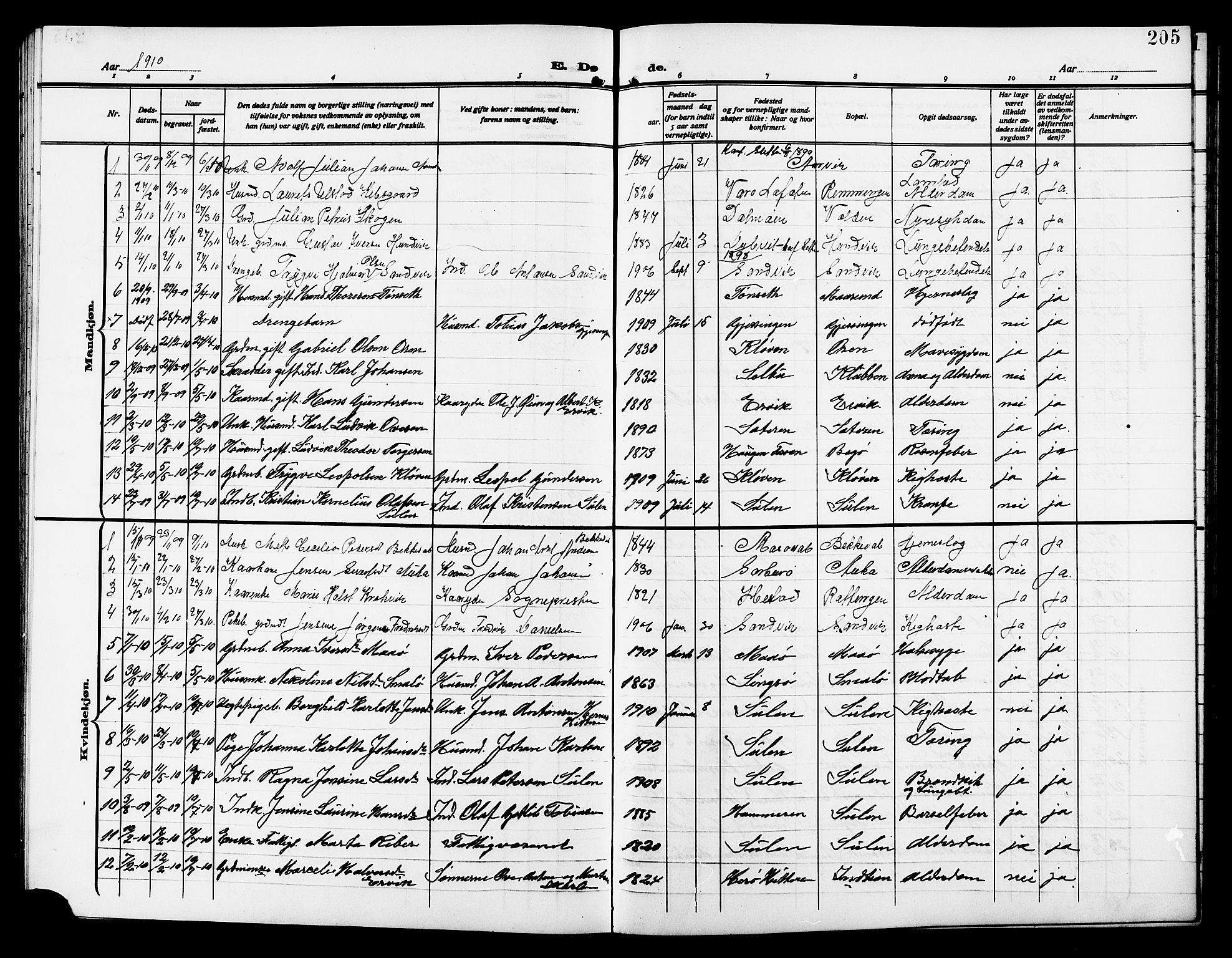 Ministerialprotokoller, klokkerbøker og fødselsregistre - Sør-Trøndelag, AV/SAT-A-1456/640/L0588: Klokkerbok nr. 640C05, 1909-1922, s. 205