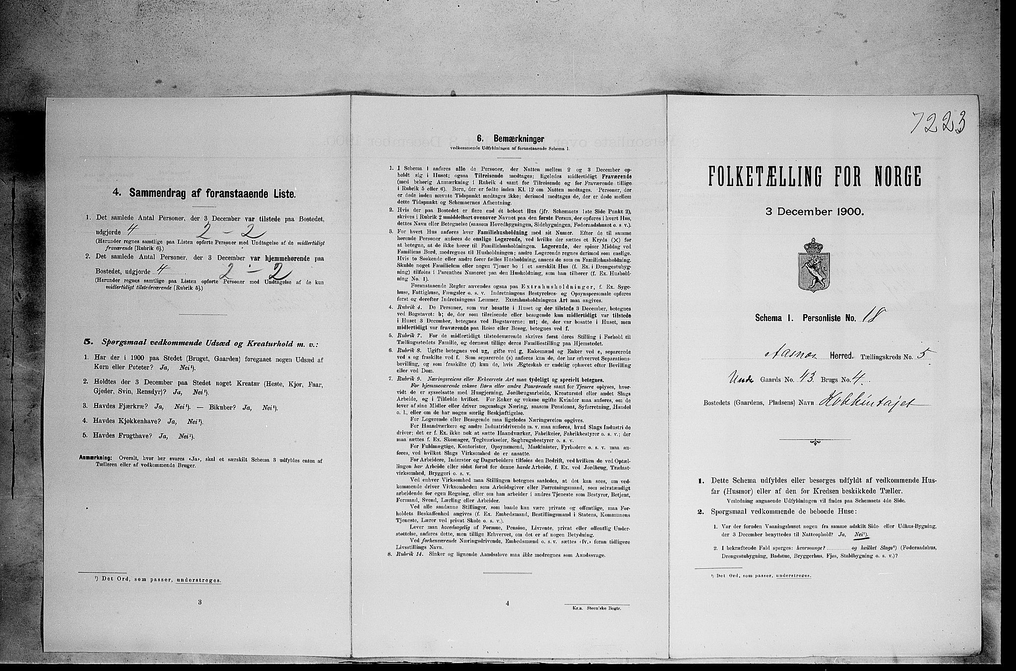 SAH, Folketelling 1900 for 0425 Åsnes herred, 1900, s. 887