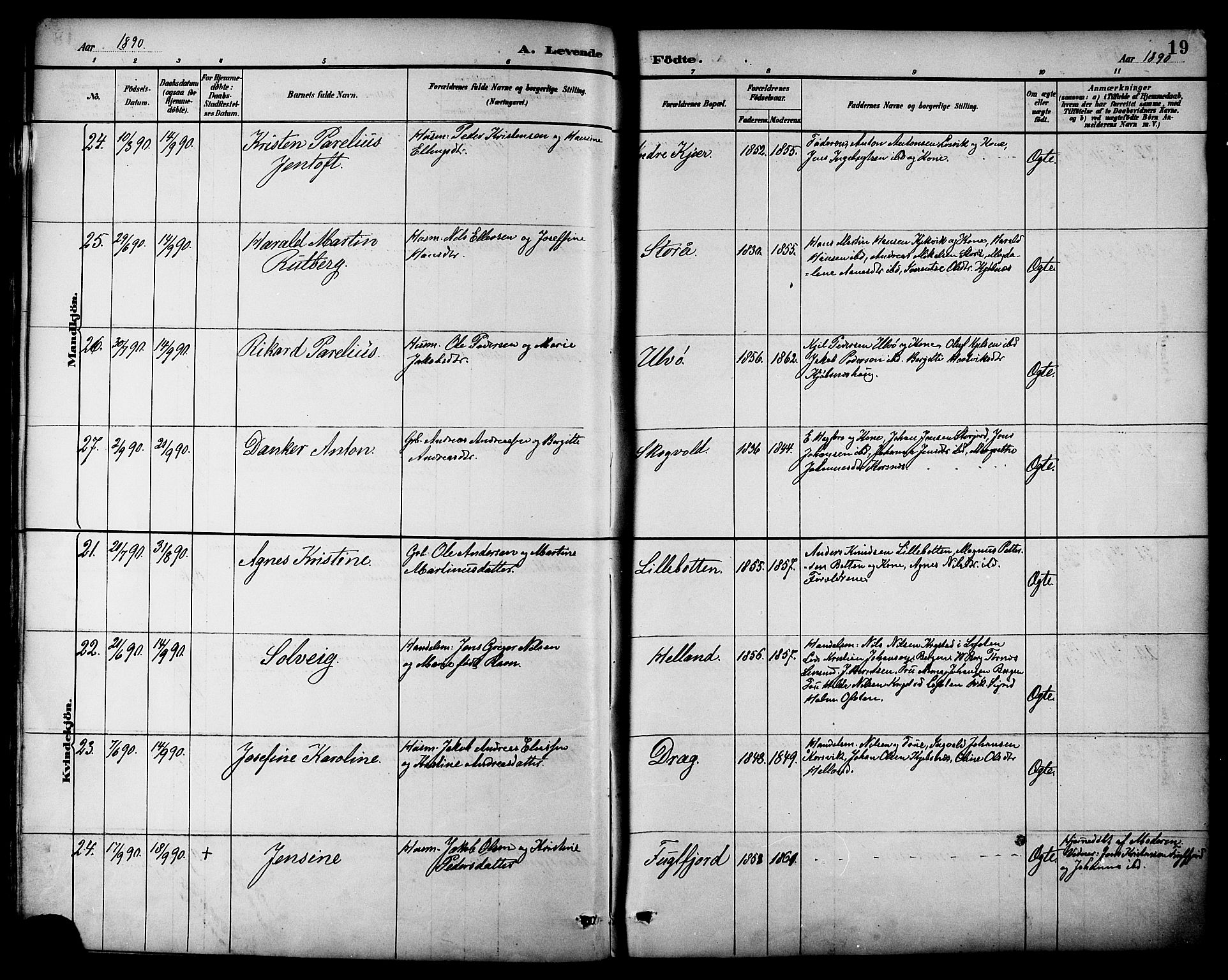 Ministerialprotokoller, klokkerbøker og fødselsregistre - Nordland, AV/SAT-A-1459/861/L0869: Ministerialbok nr. 861A04, 1889-1903, s. 19