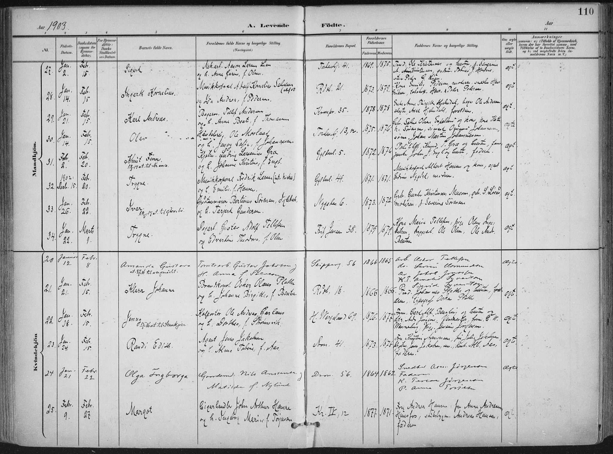 Kristiansand domprosti, AV/SAK-1112-0006/F/Fa/L0021: Ministerialbok nr. A 20, 1898-1908, s. 110