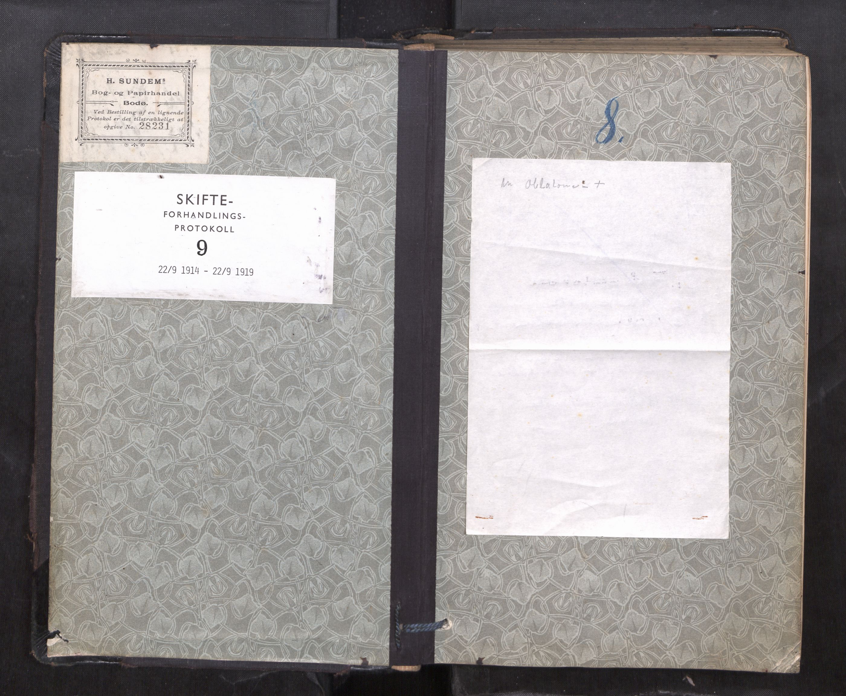 Lofoten sorenskriveri, SAT/A-0017/1/3/3B/L0009: Skifteforhandlings-protokoll, 1914-1919