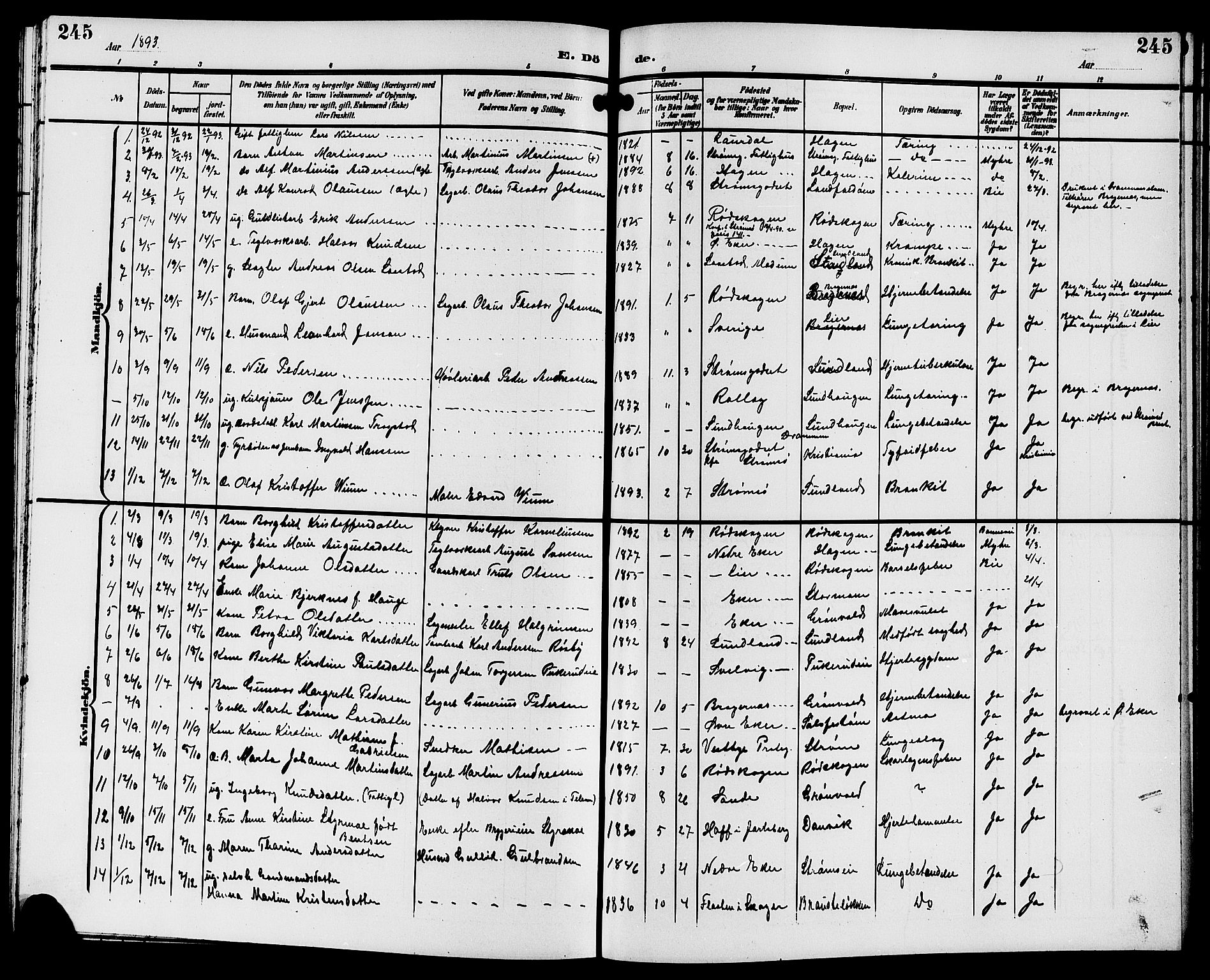 Strømsgodset kirkebøker, AV/SAKO-A-324/G/Ga/L0002: Klokkerbok nr. 2, 1885-1910, s. 245