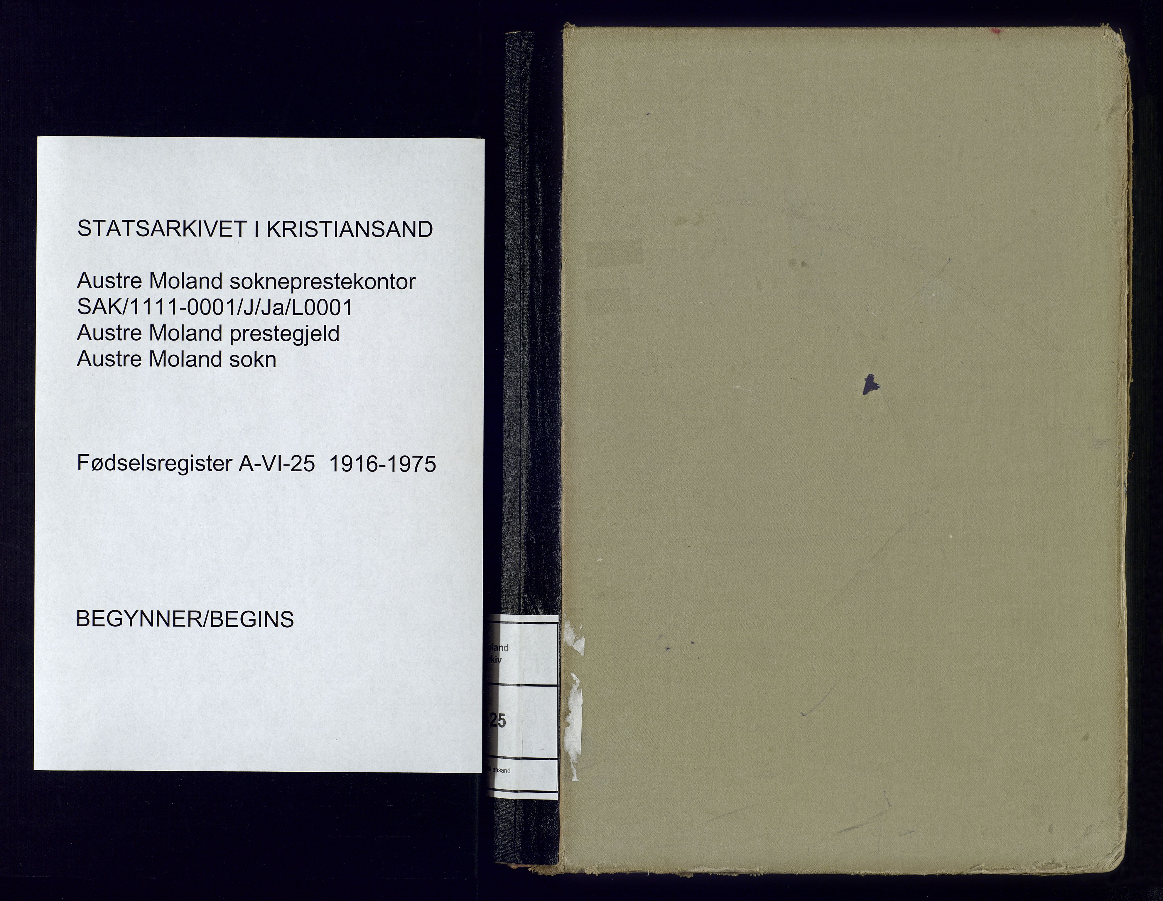 Austre Moland sokneprestkontor, SAK/1111-0001/J/Ja/L0001: Fødselsregister nr. A-VI-25, 1916-1975