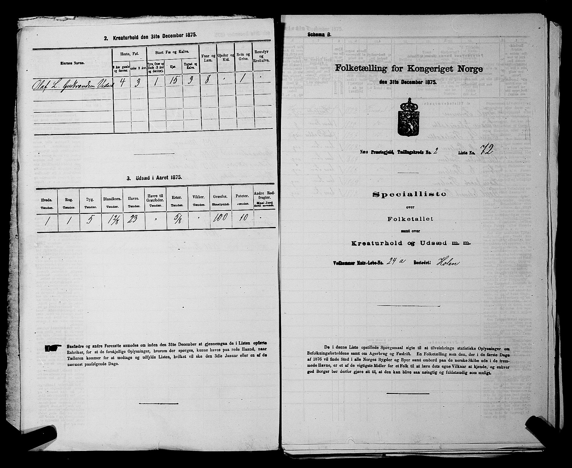 RA, Folketelling 1875 for 0236P Nes prestegjeld, 1875, s. 179