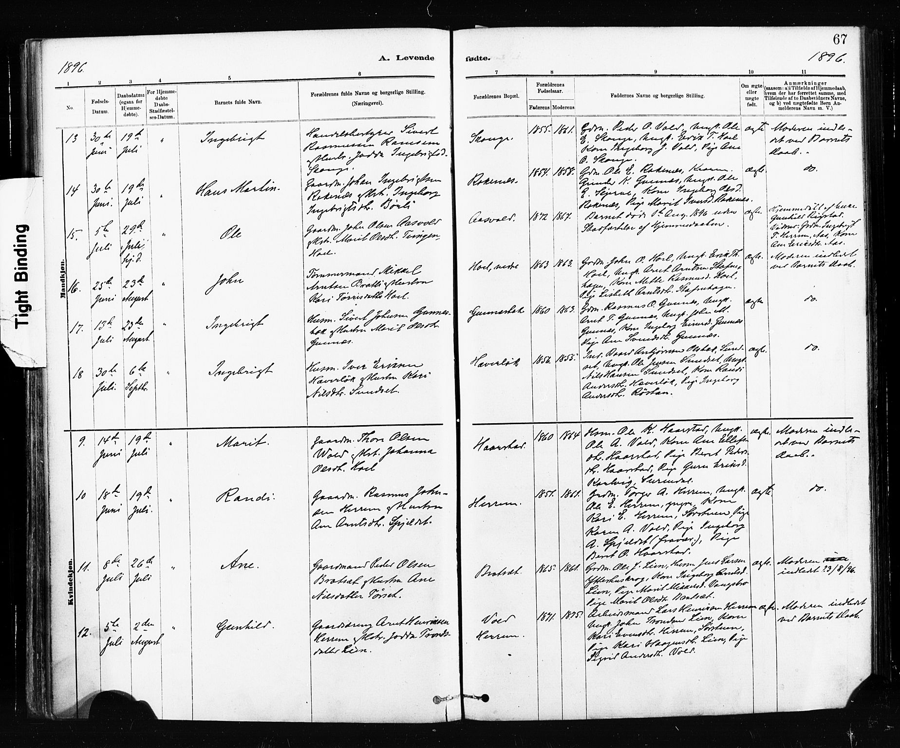 Ministerialprotokoller, klokkerbøker og fødselsregistre - Sør-Trøndelag, SAT/A-1456/674/L0871: Ministerialbok nr. 674A03, 1880-1896, s. 67