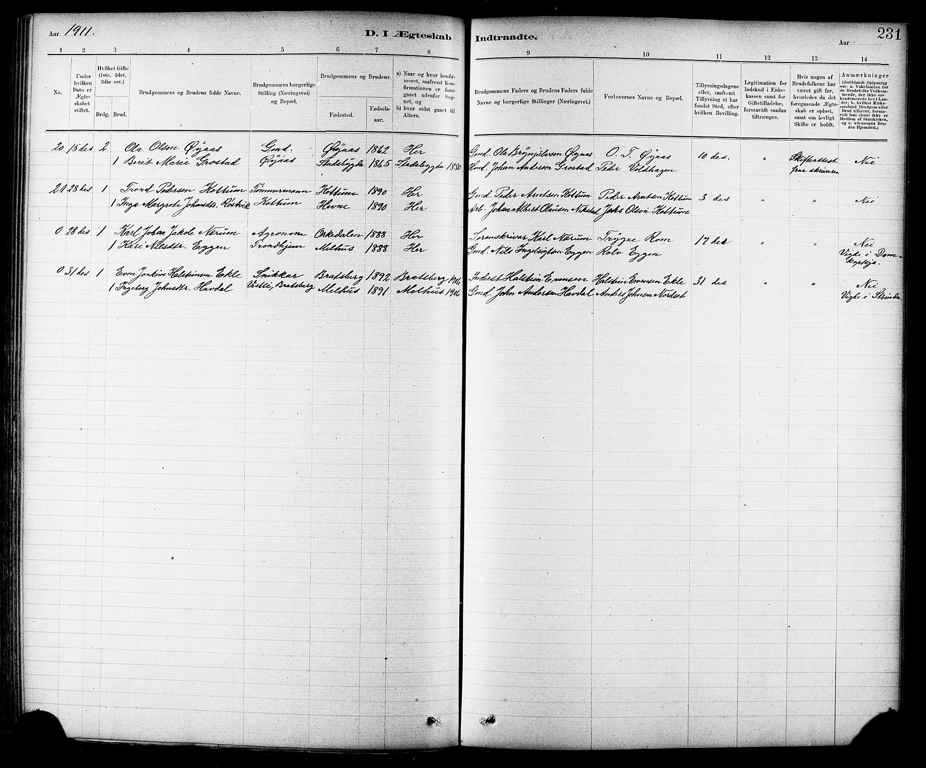 Ministerialprotokoller, klokkerbøker og fødselsregistre - Sør-Trøndelag, SAT/A-1456/691/L1094: Klokkerbok nr. 691C05, 1879-1911, s. 231