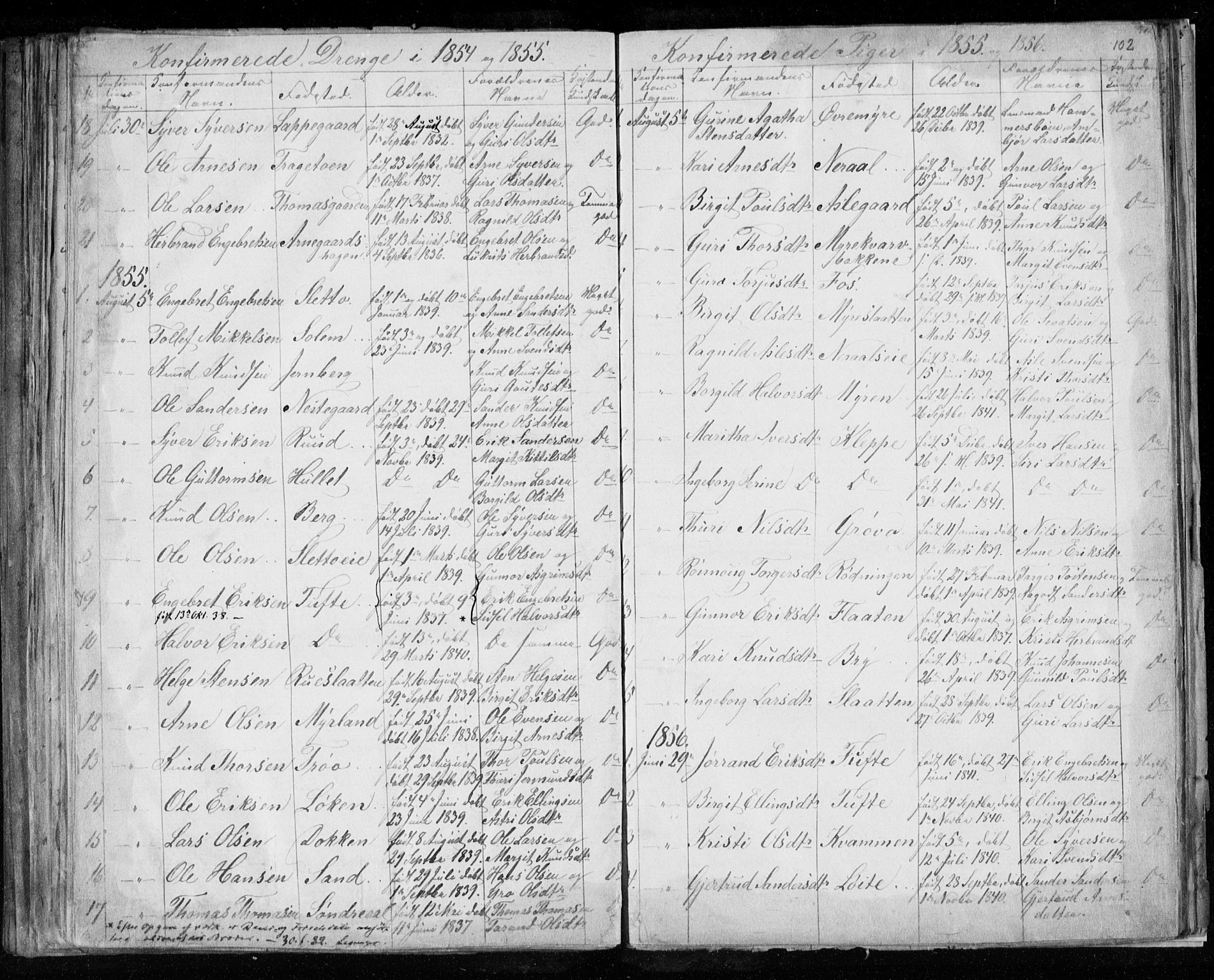 Hol kirkebøker, AV/SAKO-A-227/F/Fa/L0001: Ministerialbok nr. I 1, 1850-1870, s. 101-102