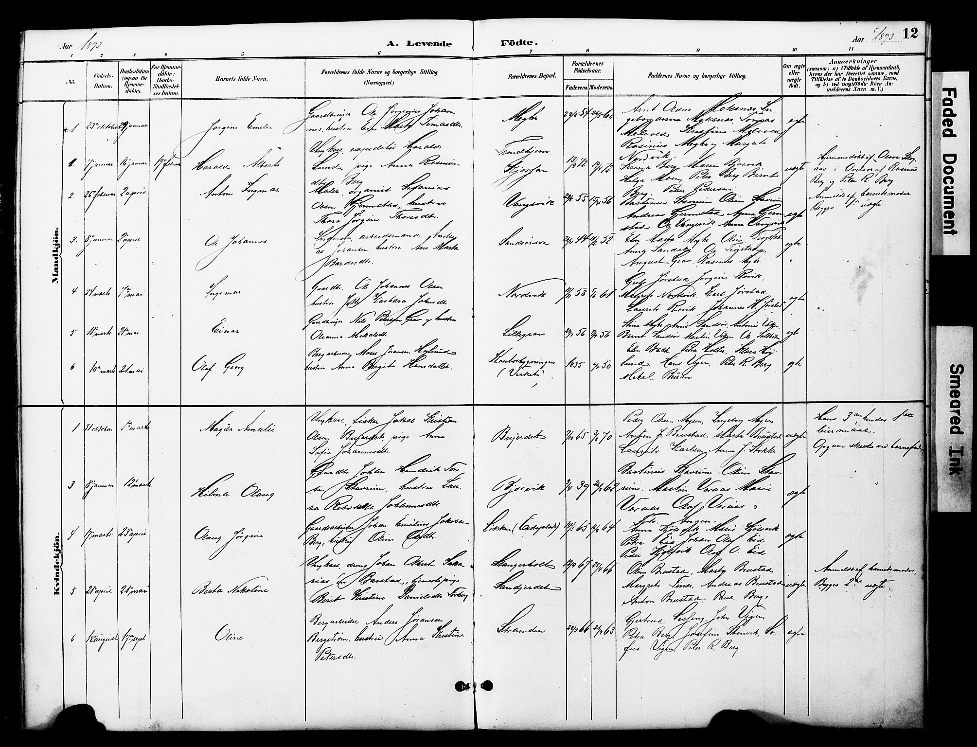 Ministerialprotokoller, klokkerbøker og fødselsregistre - Nord-Trøndelag, AV/SAT-A-1458/722/L0226: Klokkerbok nr. 722C02, 1889-1927, s. 12