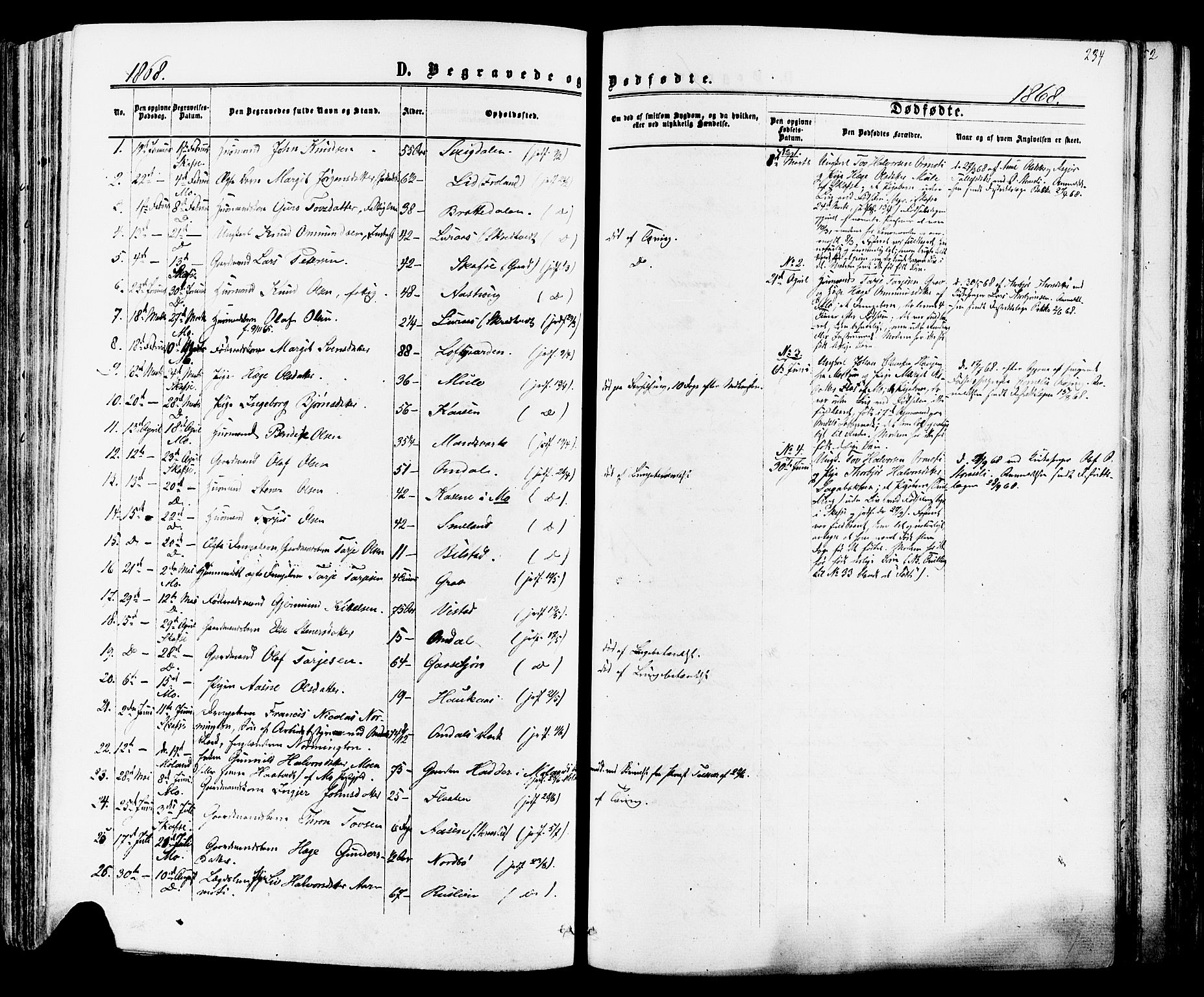 Mo kirkebøker, AV/SAKO-A-286/F/Fa/L0006: Ministerialbok nr. I 6, 1865-1885, s. 234