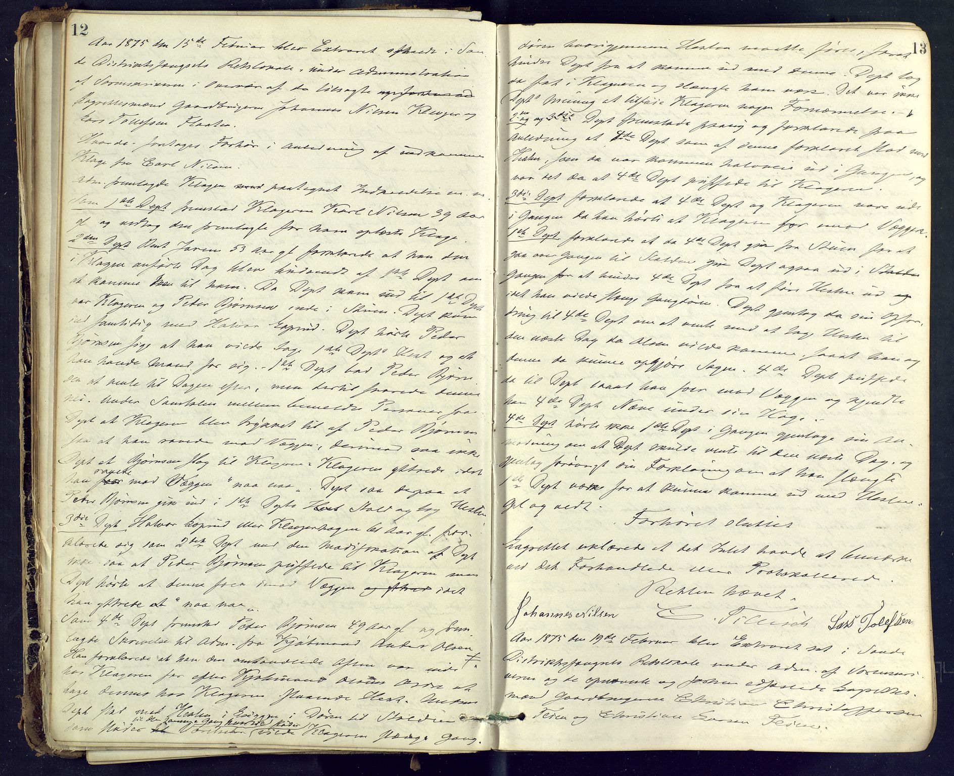 Nordre Jarlsberg sorenskriveri, AV/SAKO-A-80/F/Fb/Fba/L0021: Ekstrarettsprotokoll, 1875-1883, s. 12-13