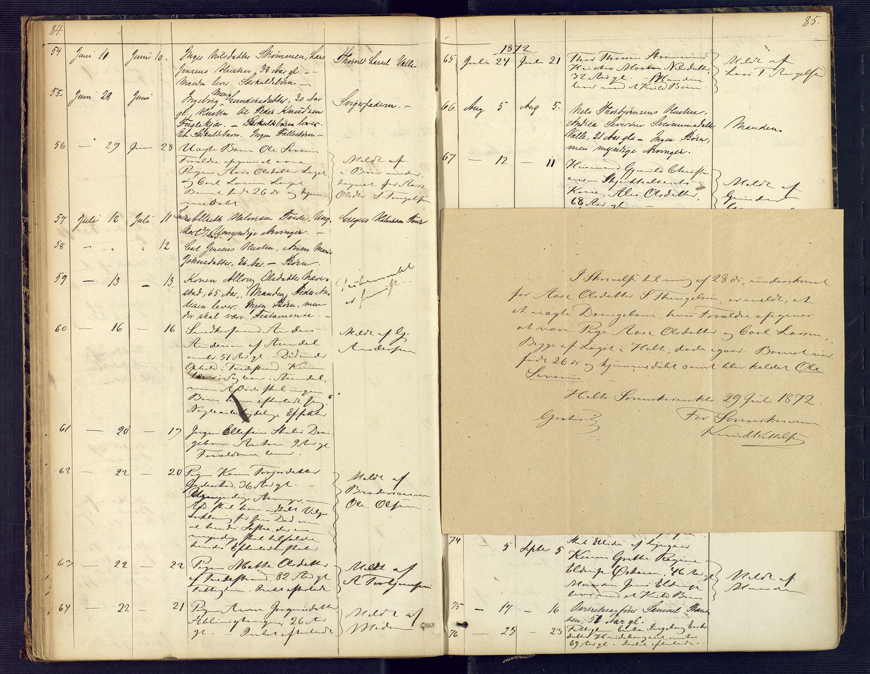 Holt sorenskriveri, AV/SAK-1221-0002/H/Ha/L0001: Dødsfallsprotokoll nr. 2, 1863-1882, s. 84-85
