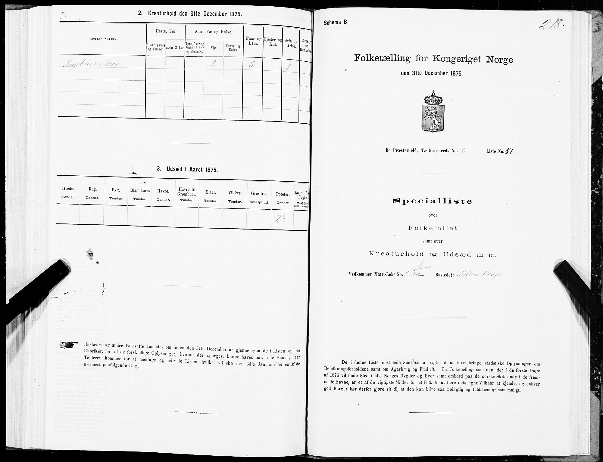 SAT, Folketelling 1875 for 1867P Bø prestegjeld, 1875, s. 1218