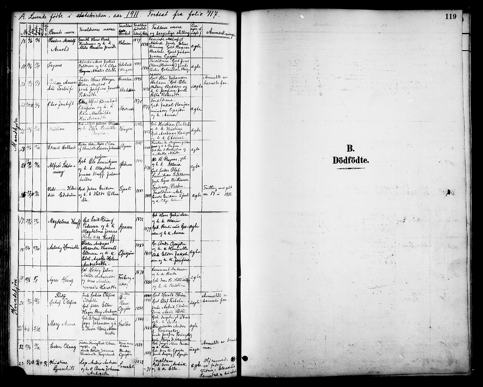Ministerialprotokoller, klokkerbøker og fødselsregistre - Nordland, AV/SAT-A-1459/814/L0230: Klokkerbok nr. 814C03, 1884-1911, s. 119