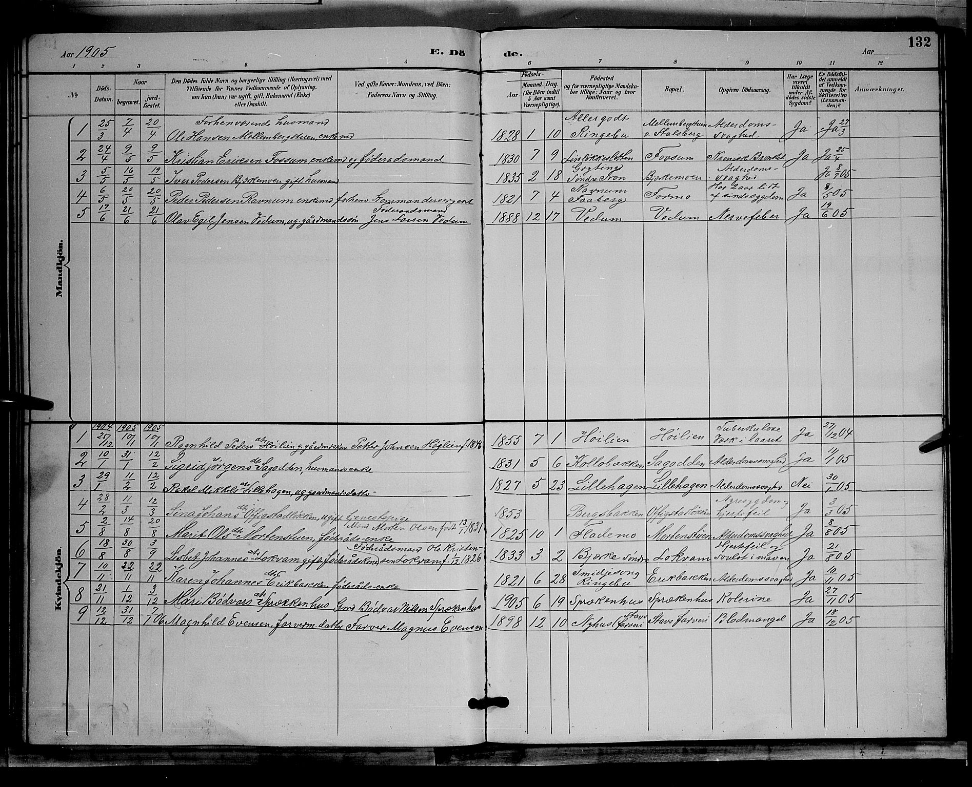Øyer prestekontor, AV/SAH-PREST-084/H/Ha/Hab/L0004: Klokkerbok nr. 4, 1894-1905, s. 132