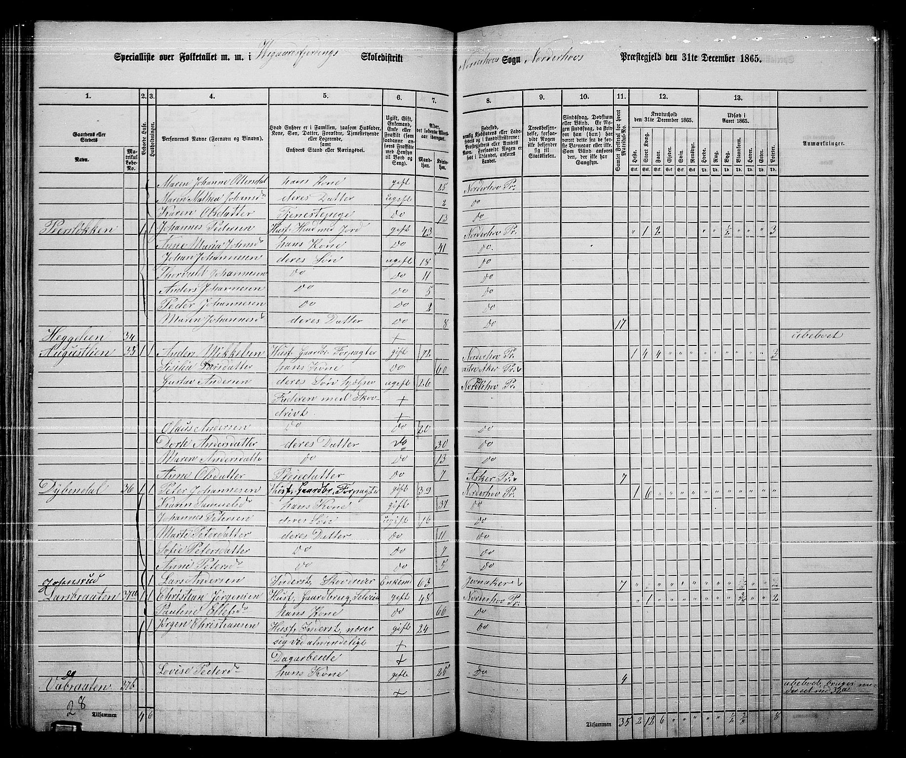 RA, Folketelling 1865 for 0613L Norderhov prestegjeld, Norderhov sokn, Haug sokn og Lunder sokn, 1865, s. 121