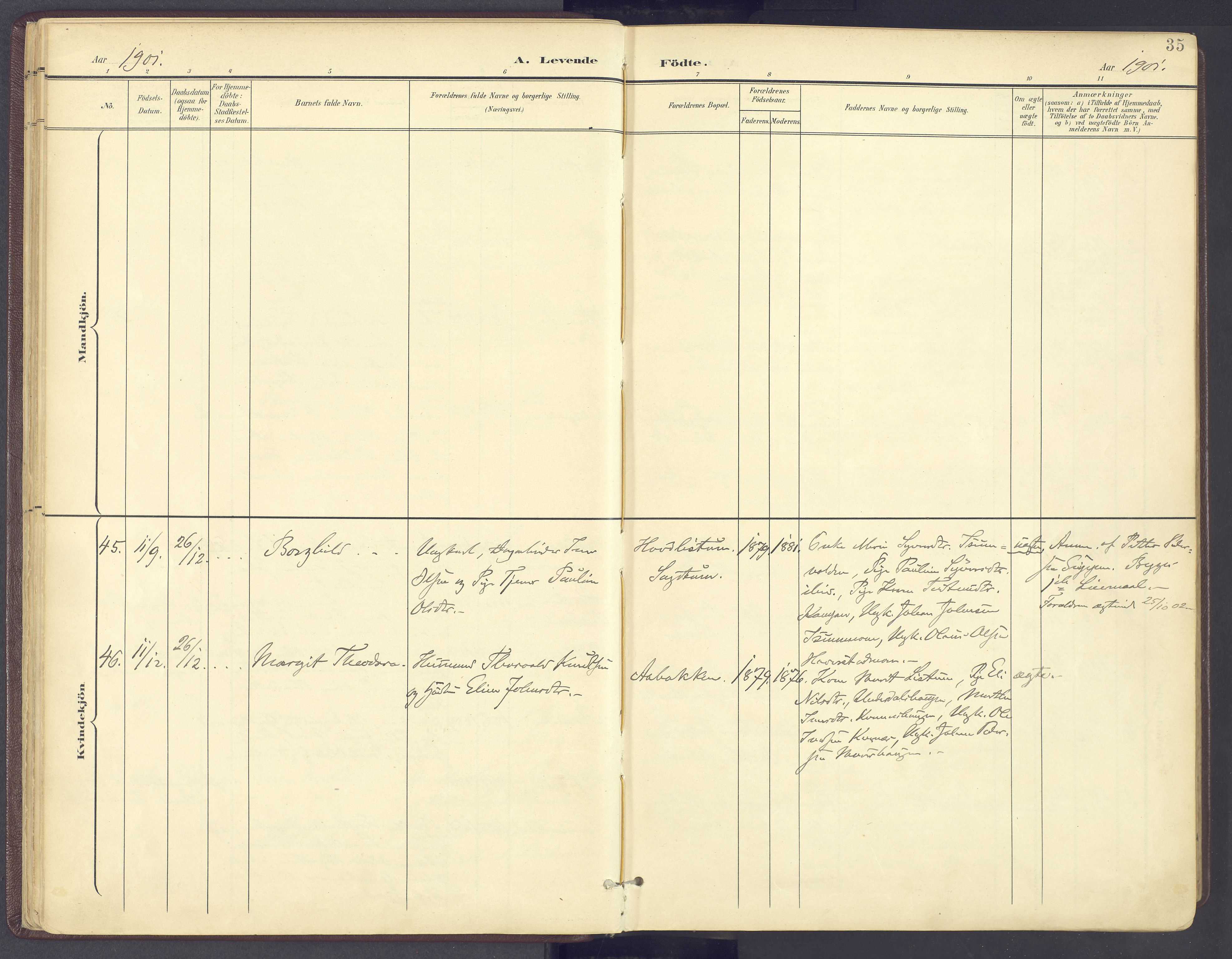 Sør-Fron prestekontor, AV/SAH-PREST-010/H/Ha/Haa/L0004: Ministerialbok nr. 4, 1898-1919, s. 35