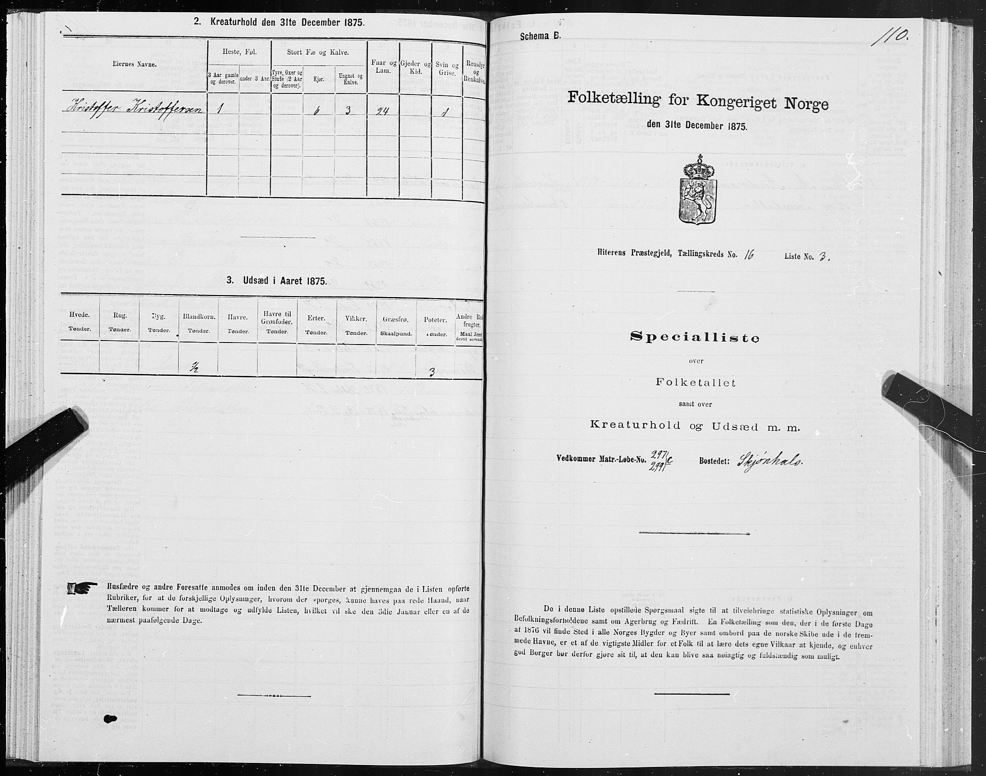 SAT, Folketelling 1875 for 1617P Hitra prestegjeld, 1875, s. 8110