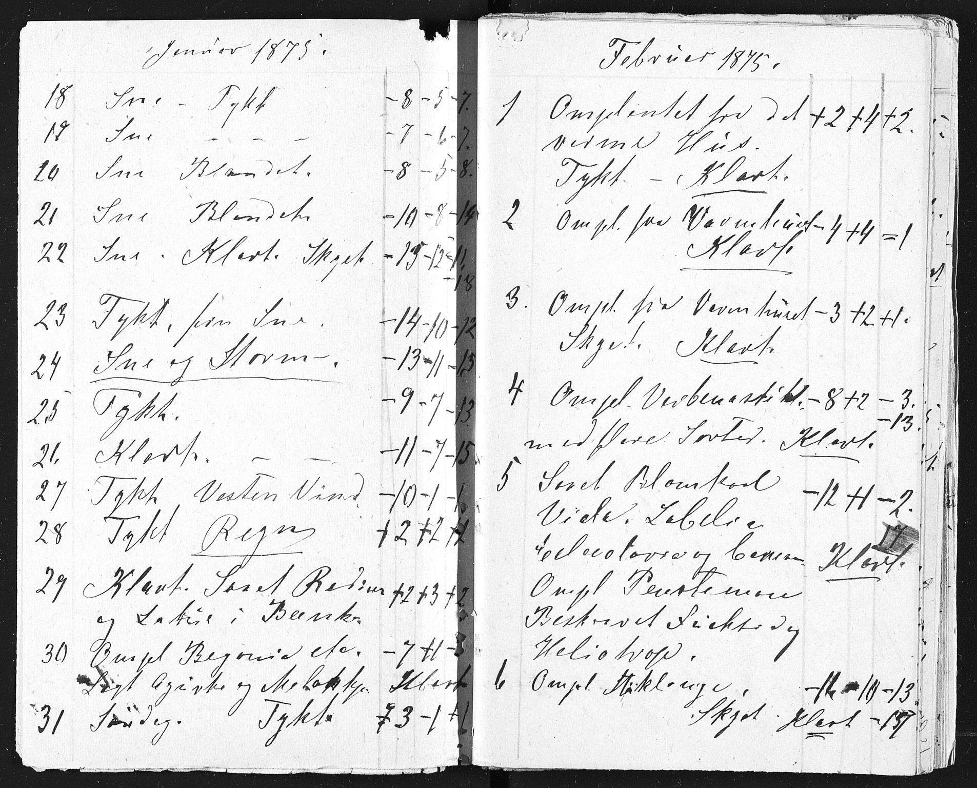 Familien Aalls privatarkiv , NESJ/NJM-005/E-00003/L0001/0003/0011: Dag- og notatbøker / Dølner dagbokpakke 001, 1875-1876