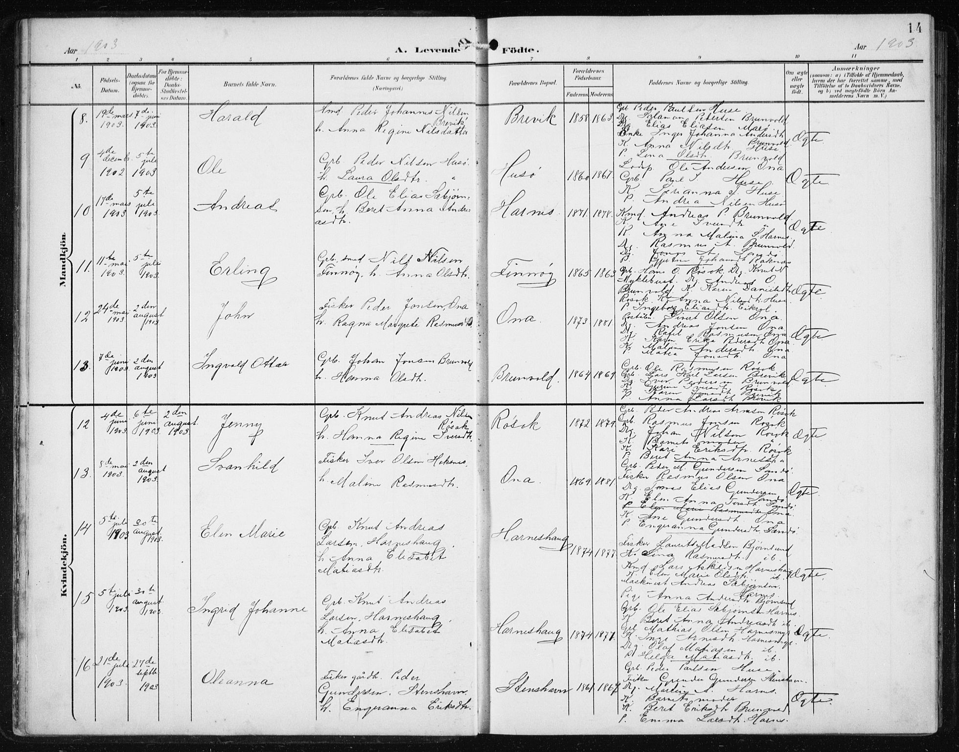 Ministerialprotokoller, klokkerbøker og fødselsregistre - Møre og Romsdal, SAT/A-1454/561/L0733: Klokkerbok nr. 561C03, 1900-1940, s. 14