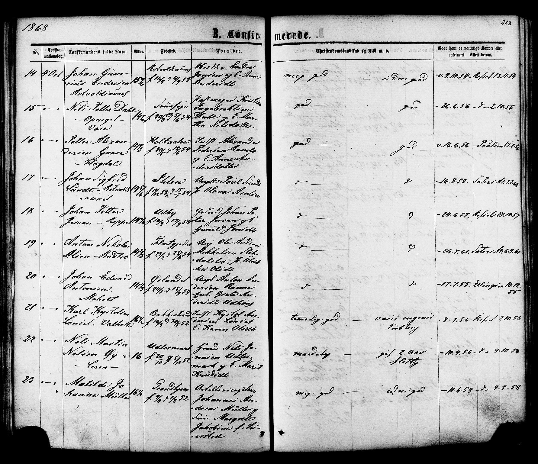 Ministerialprotokoller, klokkerbøker og fødselsregistre - Sør-Trøndelag, SAT/A-1456/606/L0293: Ministerialbok nr. 606A08, 1866-1877, s. 228