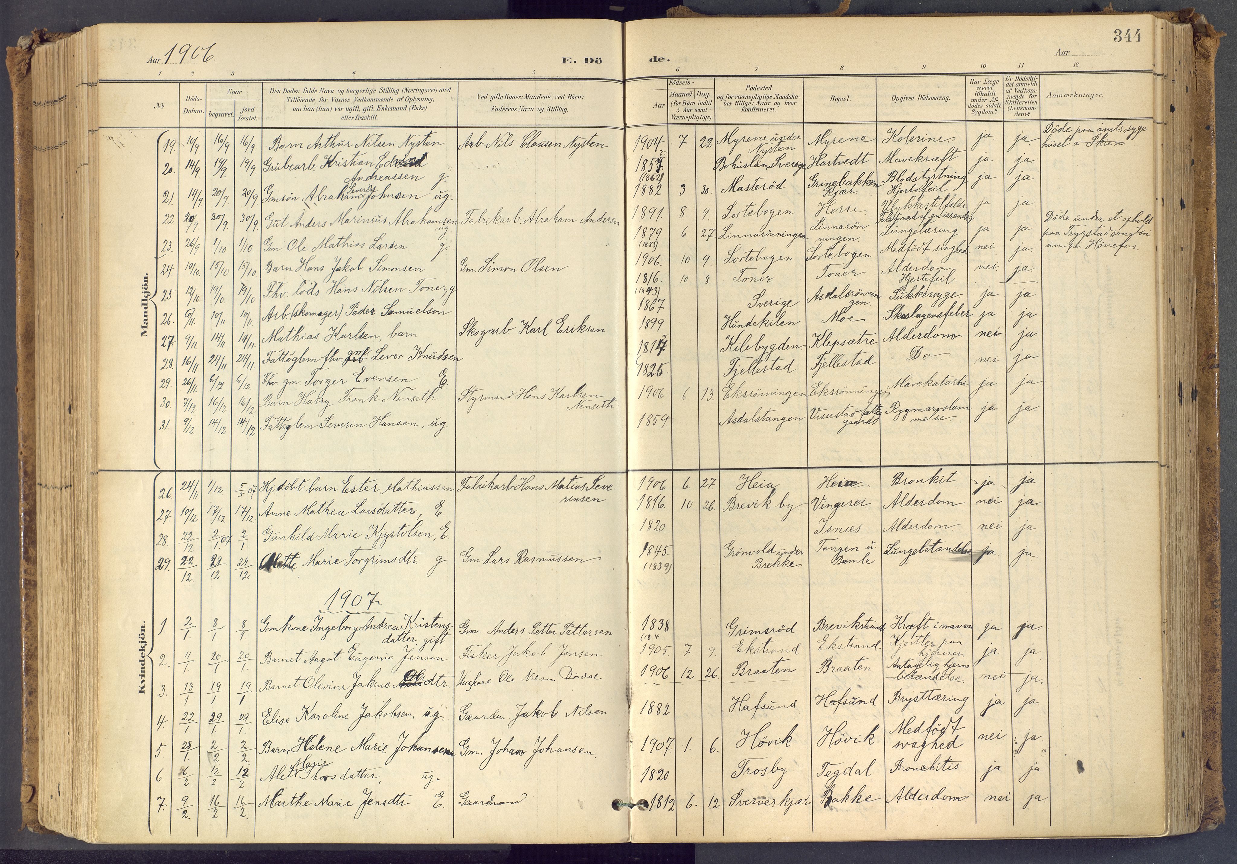 Bamble kirkebøker, AV/SAKO-A-253/F/Fa/L0009: Ministerialbok nr. I 9, 1901-1917, s. 344