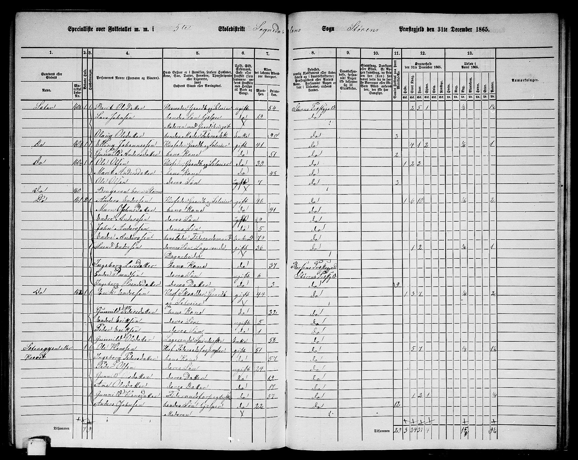 RA, Folketelling 1865 for 1648P Støren prestegjeld, 1865, s. 292