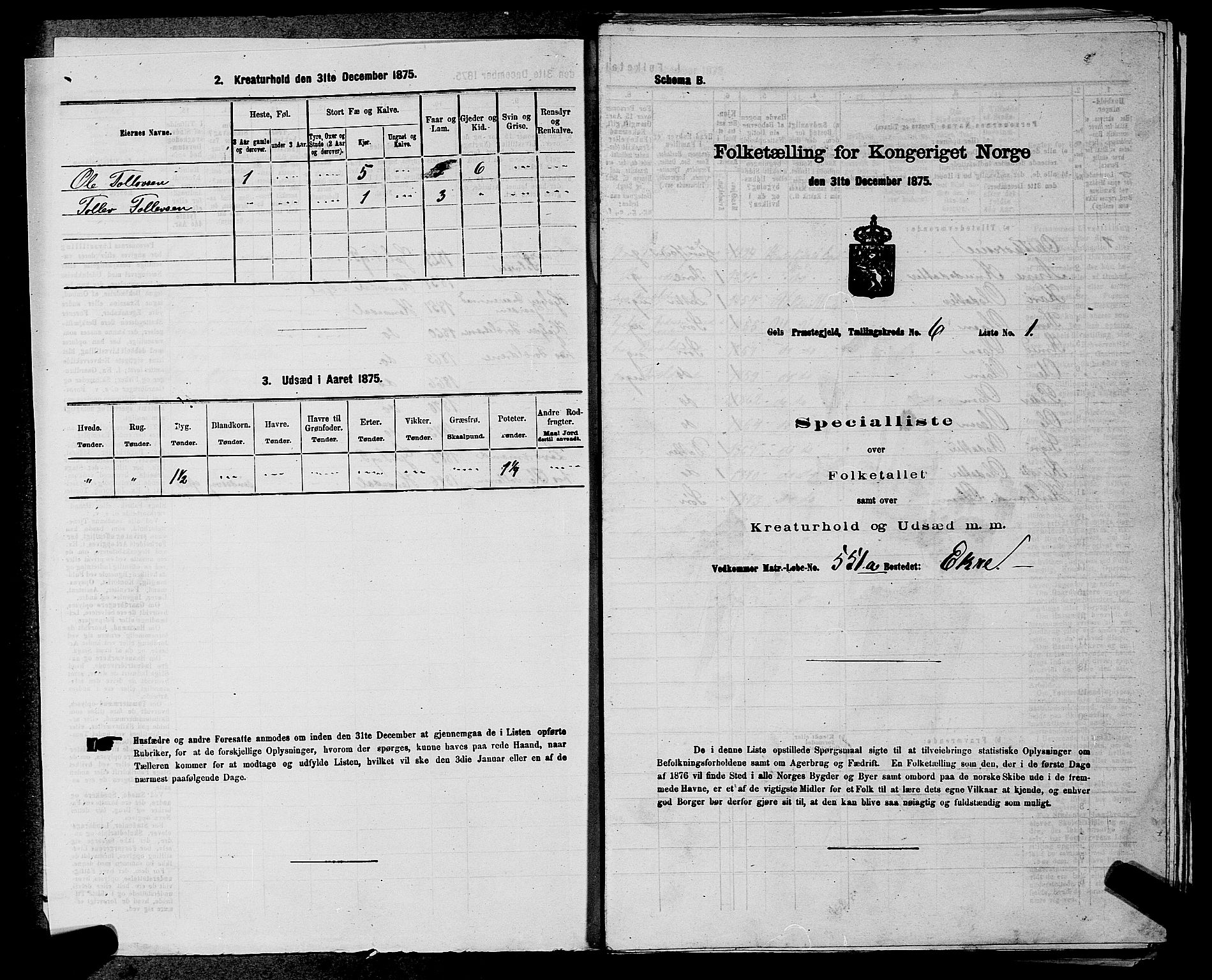 SAKO, Folketelling 1875 for 0617P Gol prestegjeld, 1875, s. 924