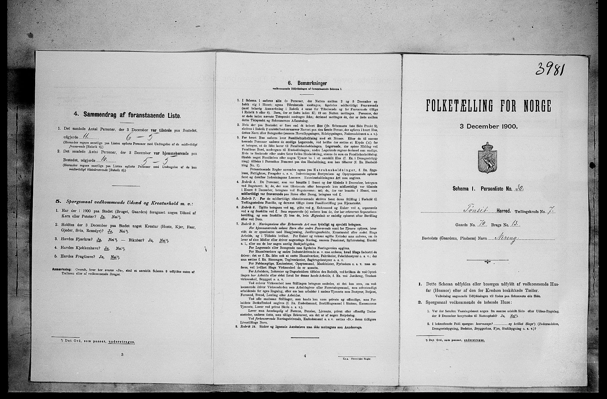 SAH, Folketelling 1900 for 0437 Tynset herred, 1900, s. 675