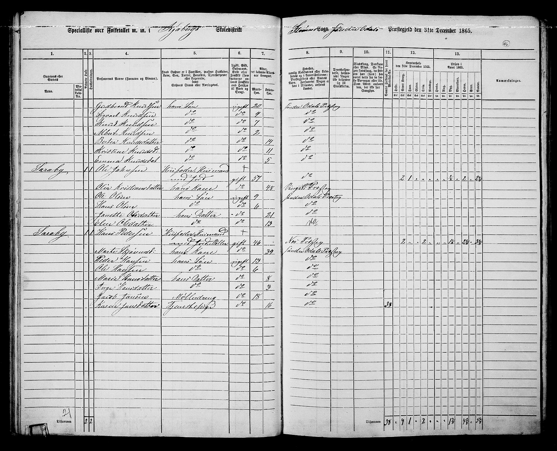 RA, Folketelling 1865 for 0419P Sør-Odal prestegjeld, 1865, s. 42