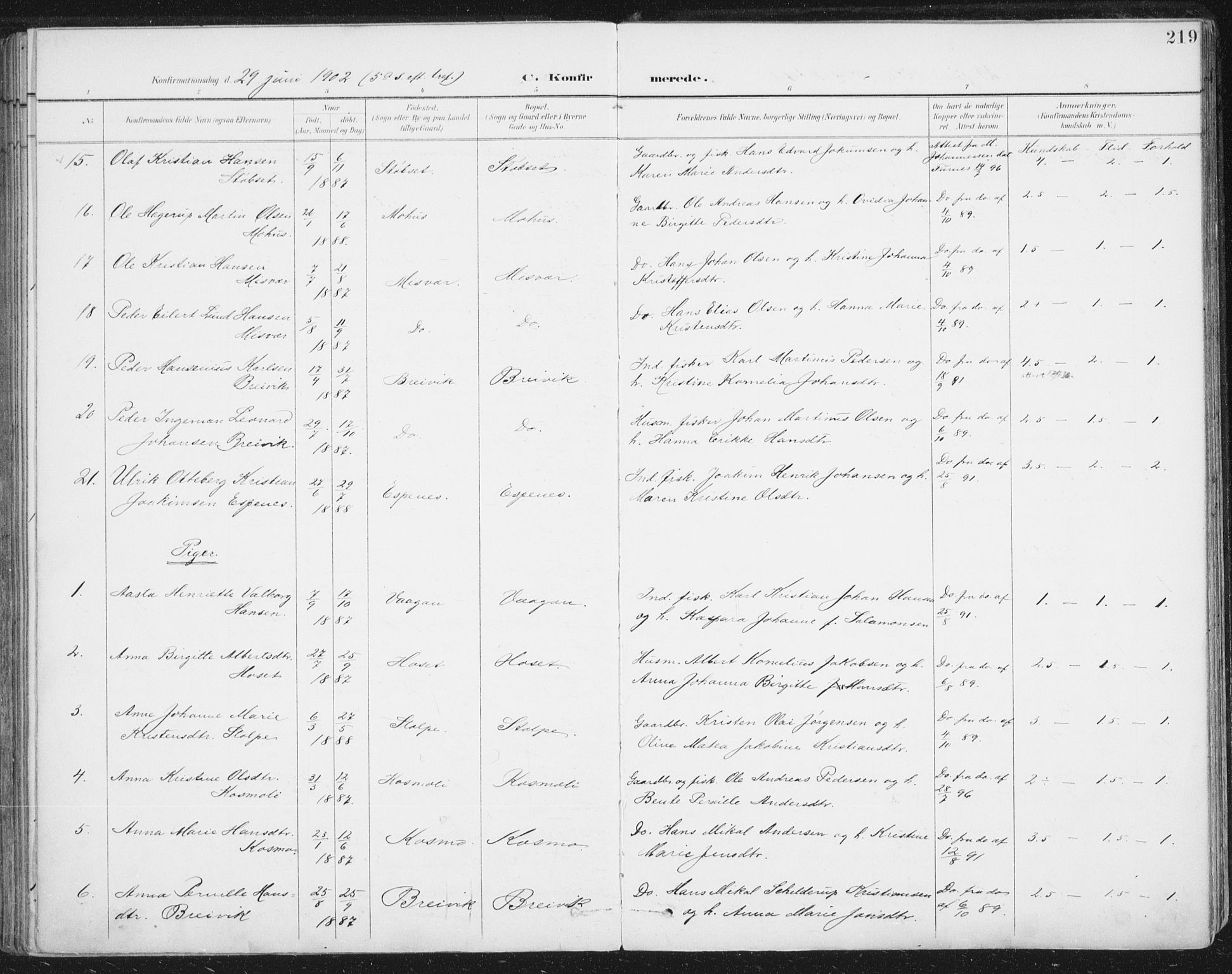 Ministerialprotokoller, klokkerbøker og fødselsregistre - Nordland, AV/SAT-A-1459/852/L0741: Ministerialbok nr. 852A11, 1894-1917, s. 219