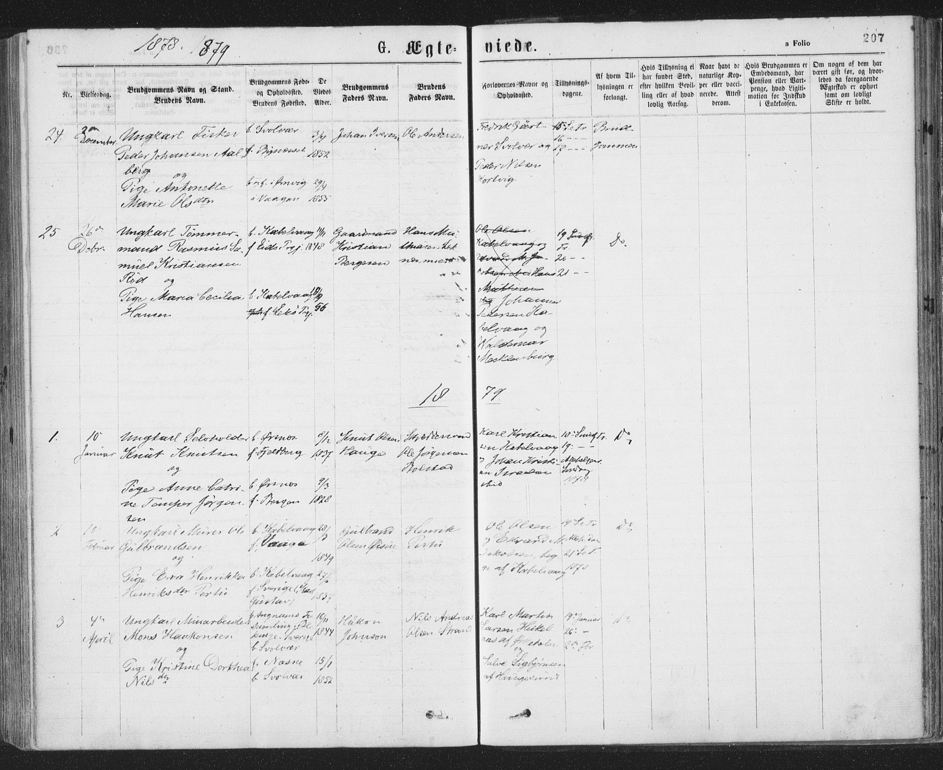 Ministerialprotokoller, klokkerbøker og fødselsregistre - Nordland, SAT/A-1459/874/L1058: Ministerialbok nr. 874A02, 1878-1883, s. 207