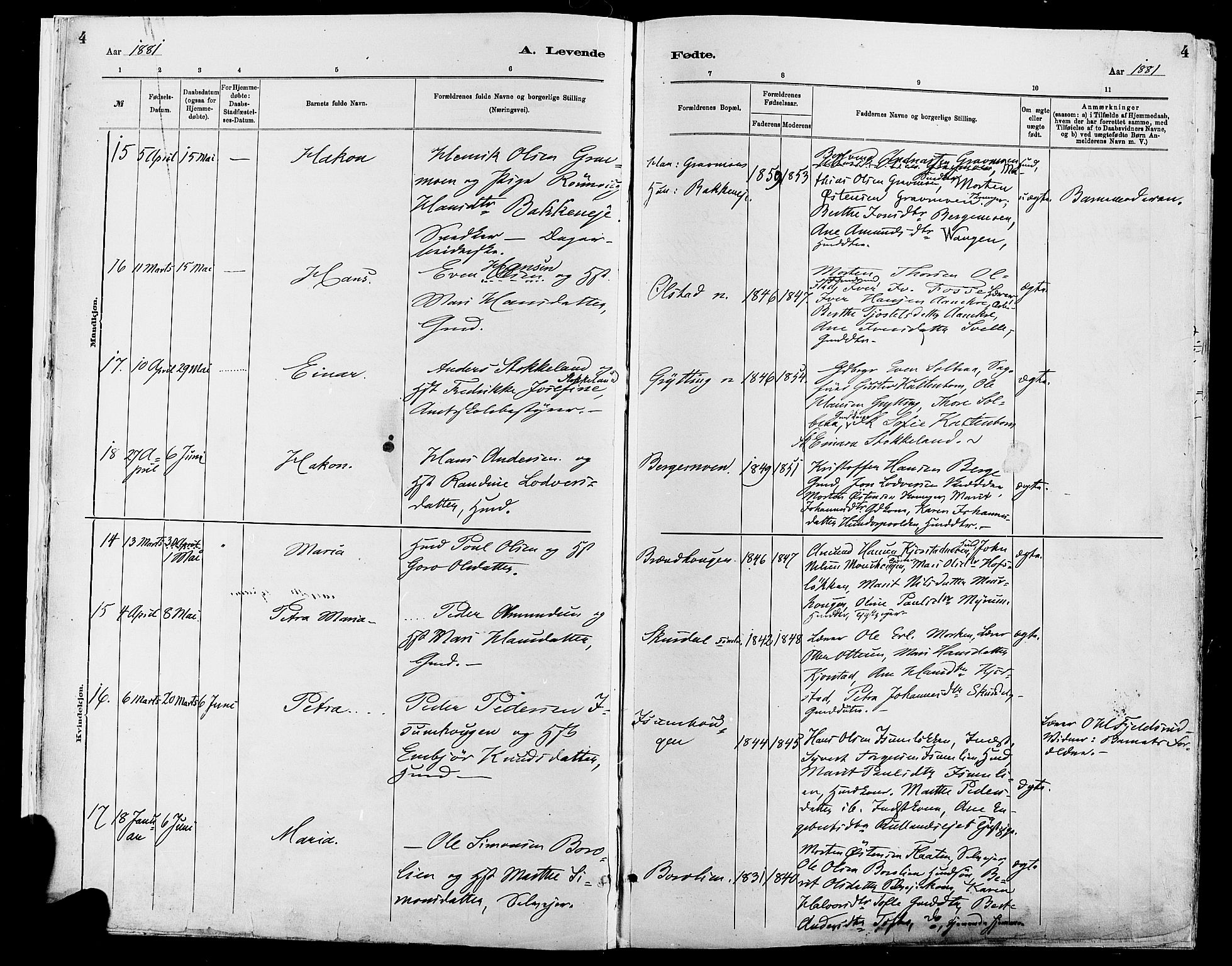 Sør-Fron prestekontor, AV/SAH-PREST-010/H/Ha/Haa/L0003: Ministerialbok nr. 3, 1881-1897, s. 4
