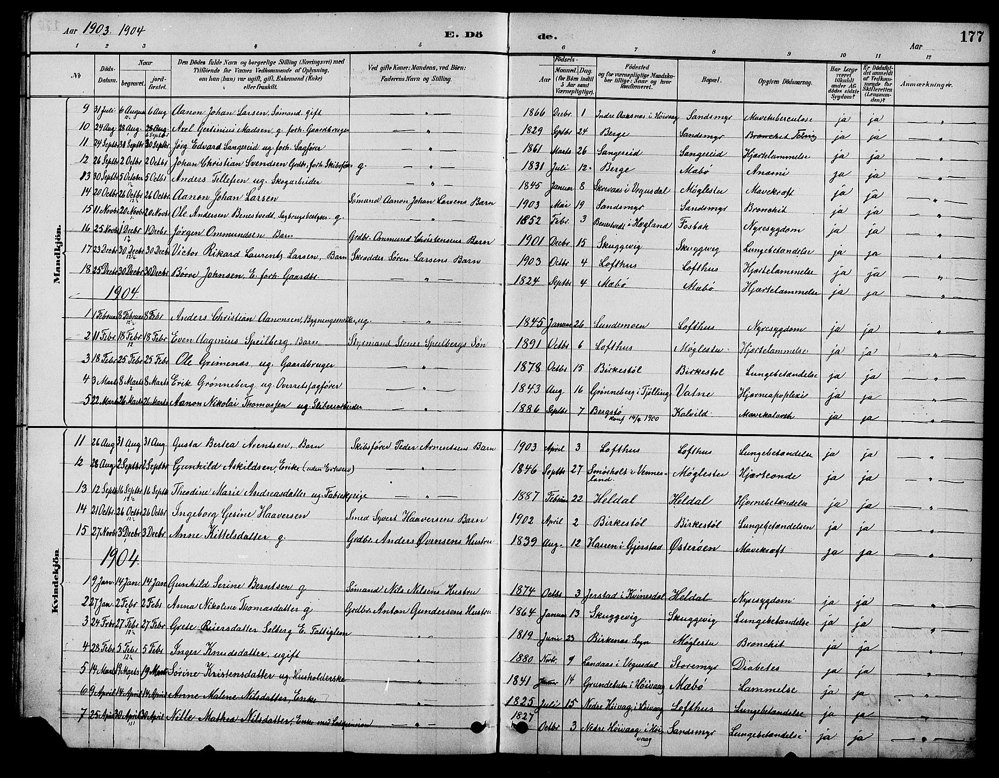 Vestre Moland sokneprestkontor, AV/SAK-1111-0046/F/Fb/Fbb/L0006: Klokkerbok nr. B 6, 1884-1905, s. 177