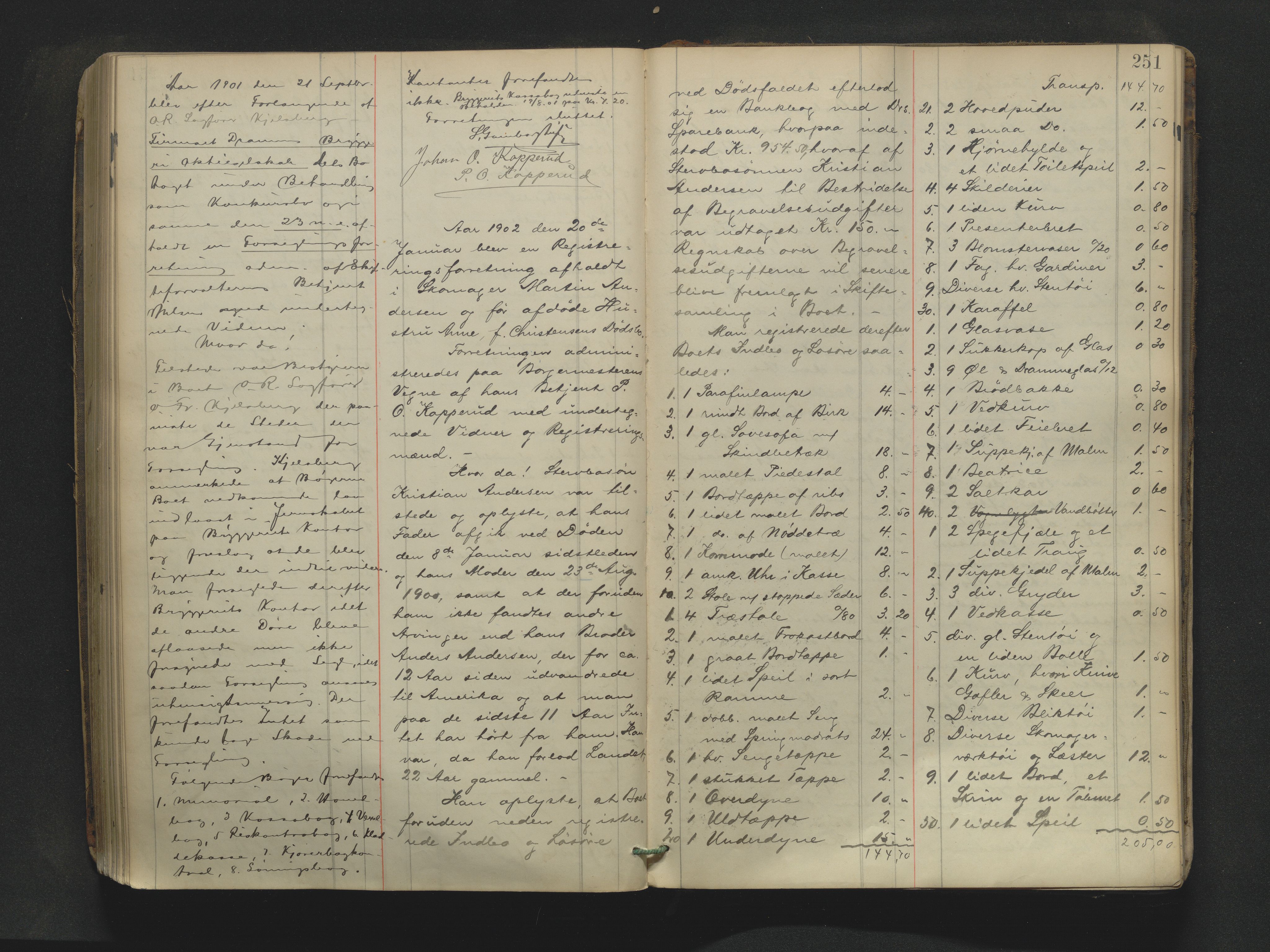 Drammen byfogd, AV/SAKO-A-222/H/Hb/Hbb/L0007: Registreringsprotokoll., 1891-1903, s. 251