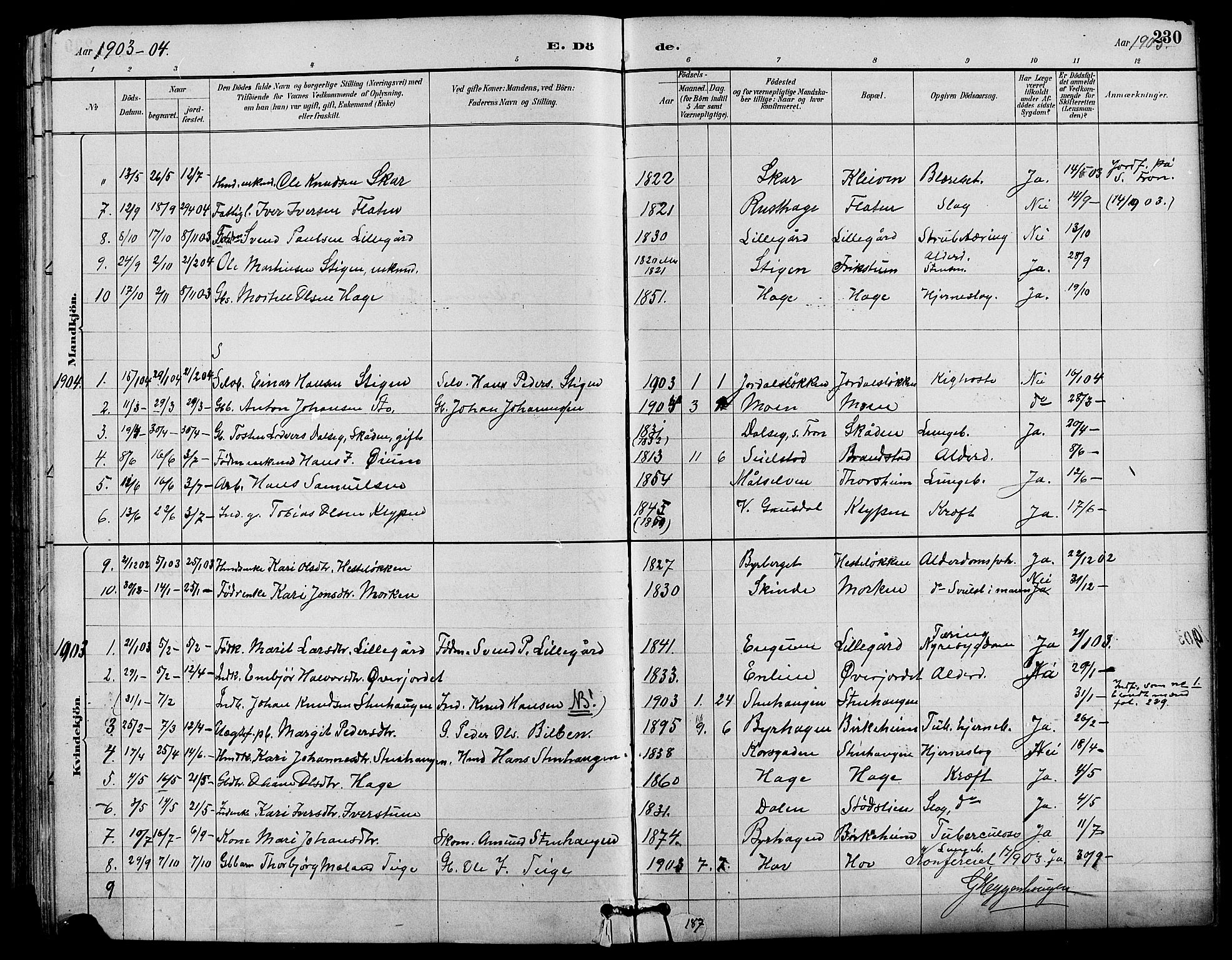 Nord-Fron prestekontor, AV/SAH-PREST-080/H/Ha/Hab/L0004: Klokkerbok nr. 4, 1884-1914, s. 230