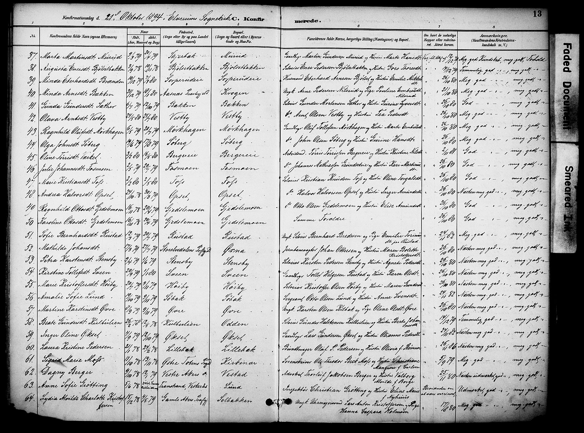Elverum prestekontor, AV/SAH-PREST-044/H/Ha/Haa/L0015: Ministerialbok nr. 15, 1893-1913, s. 13