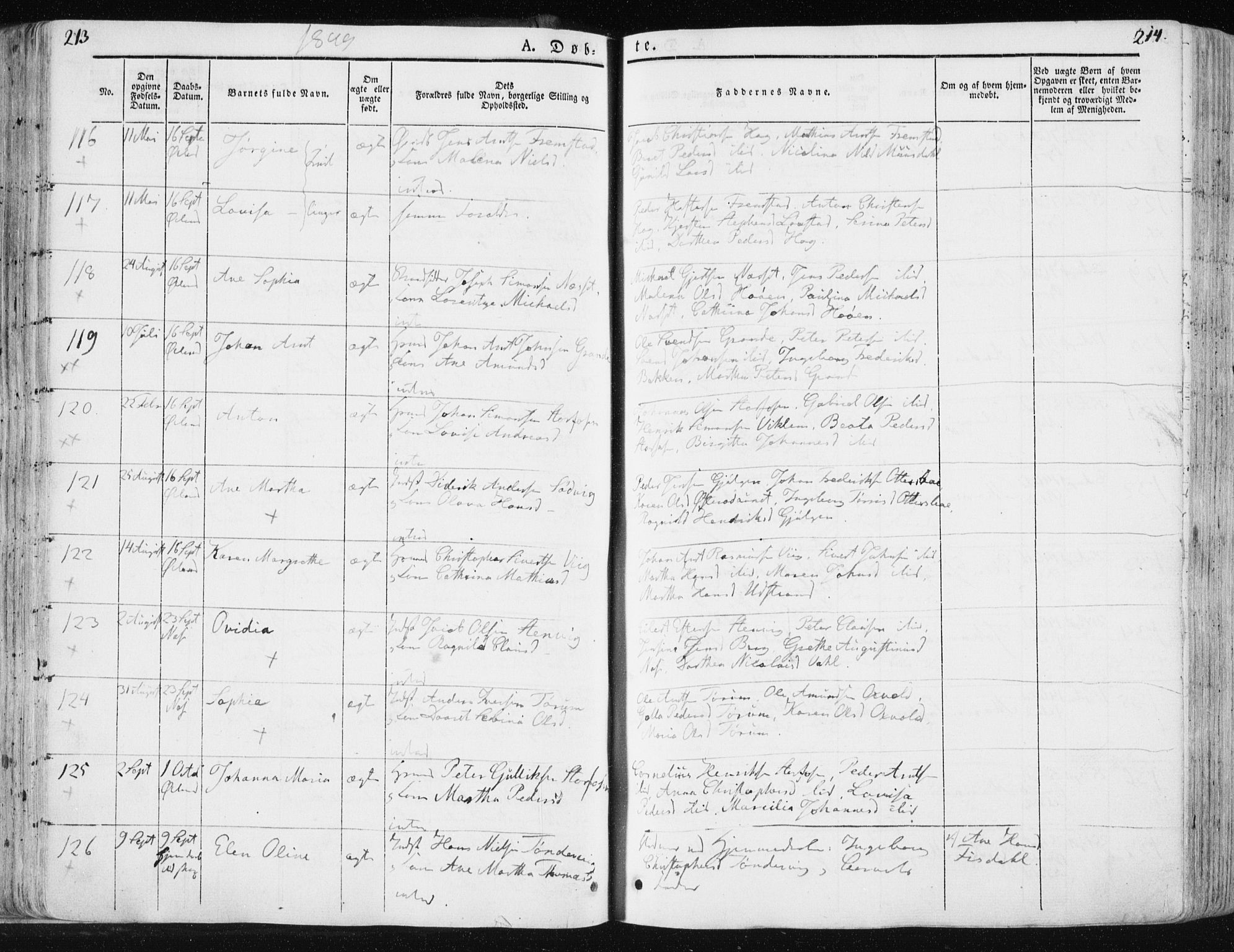 Ministerialprotokoller, klokkerbøker og fødselsregistre - Sør-Trøndelag, SAT/A-1456/659/L0736: Ministerialbok nr. 659A06, 1842-1856, s. 213-214