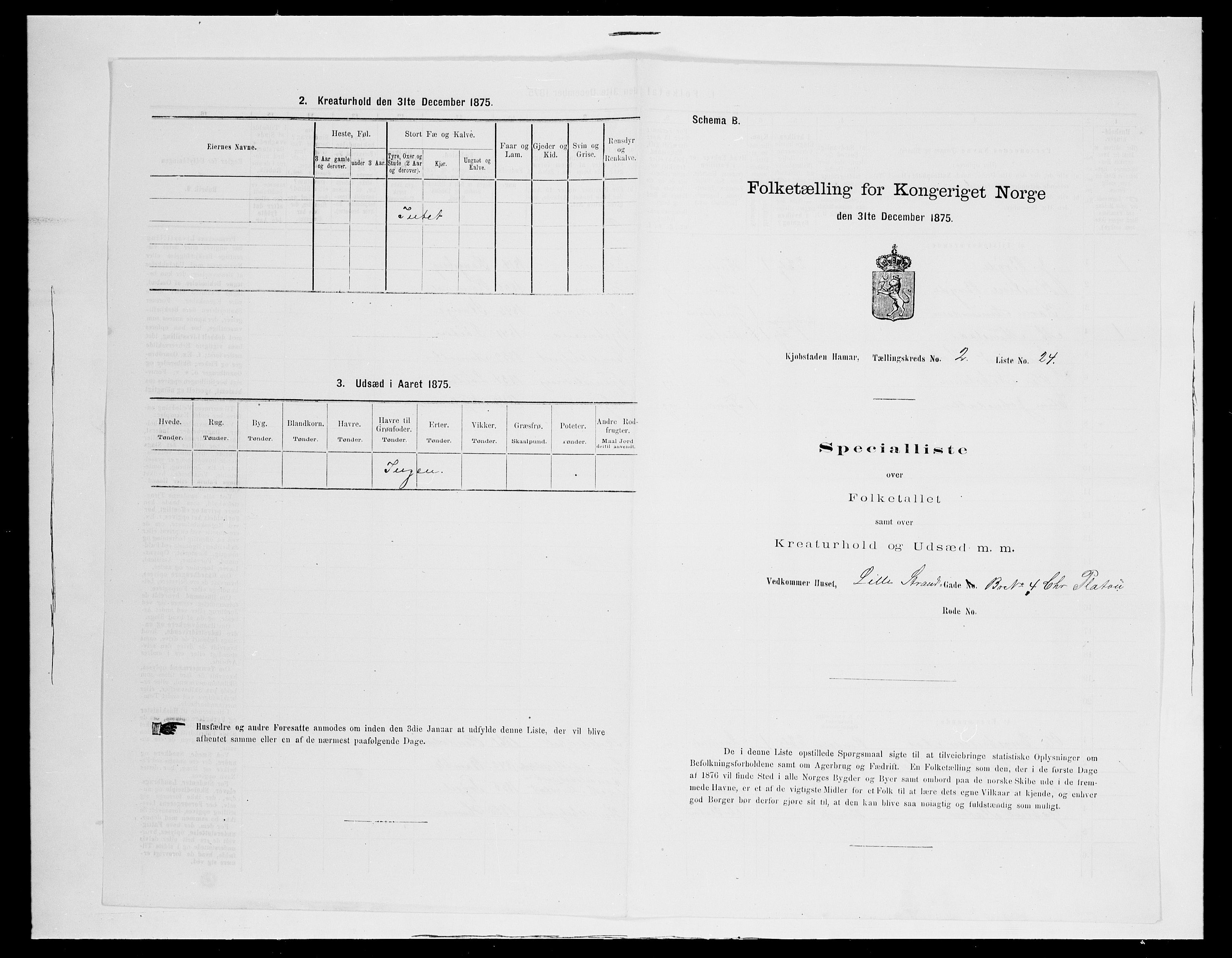 SAH, Folketelling 1875 for 0401B Vang prestegjeld, Hamar kjøpstad, 1875, s. 203