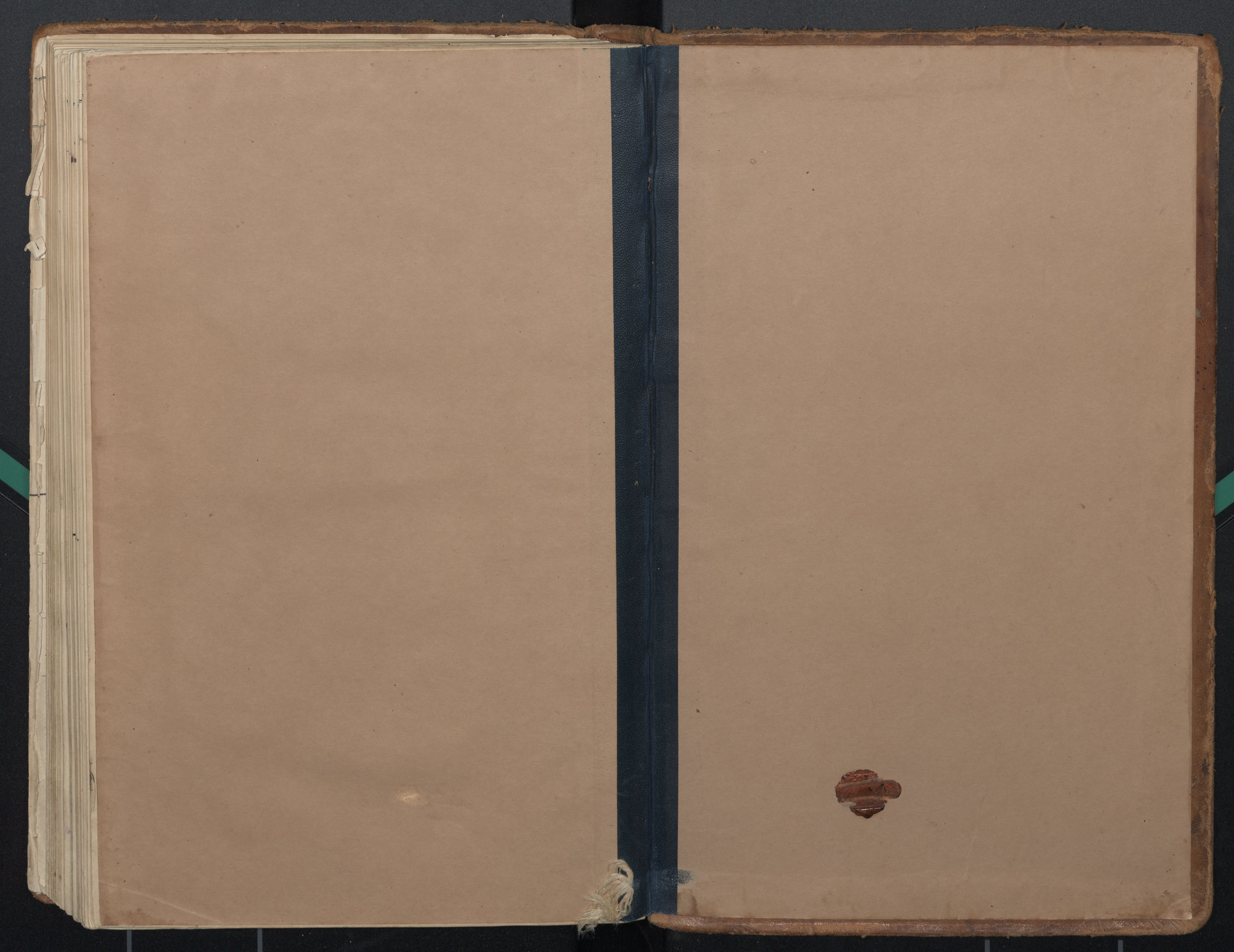 Ministerialprotokoller, klokkerbøker og fødselsregistre - Nordland, AV/SAT-A-1459/884/L1193: Ministerialbok nr. 884A01, 1888-1905