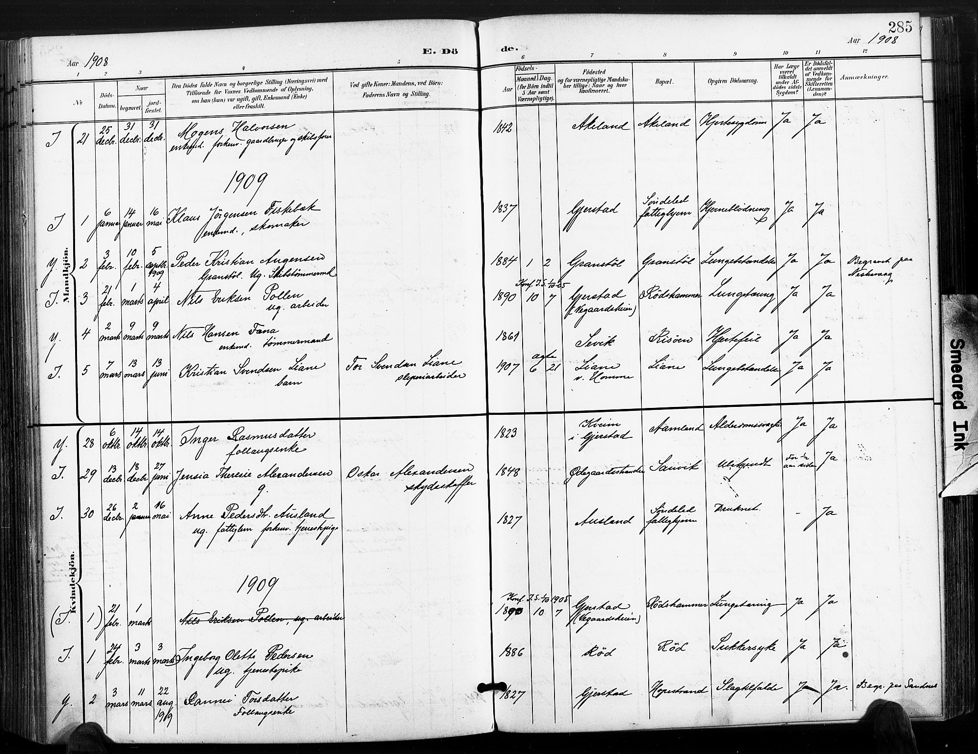 Søndeled sokneprestkontor, AV/SAK-1111-0038/F/Fa/L0006: Ministerialbok nr. A 6, 1900-1922, s. 285