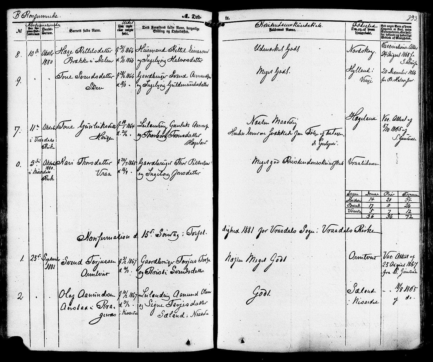 Kviteseid kirkebøker, AV/SAKO-A-276/F/Fa/L0007: Ministerialbok nr. I 7, 1859-1881, s. 233