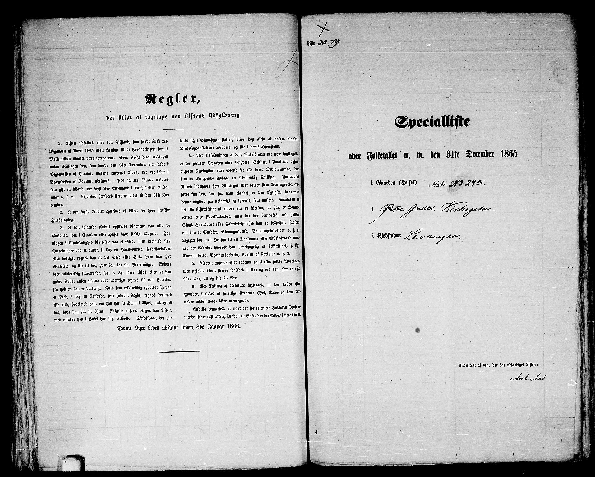 RA, Folketelling 1865 for 1701B Levanger prestegjeld, Levanger kjøpstad, 1865, s. 161