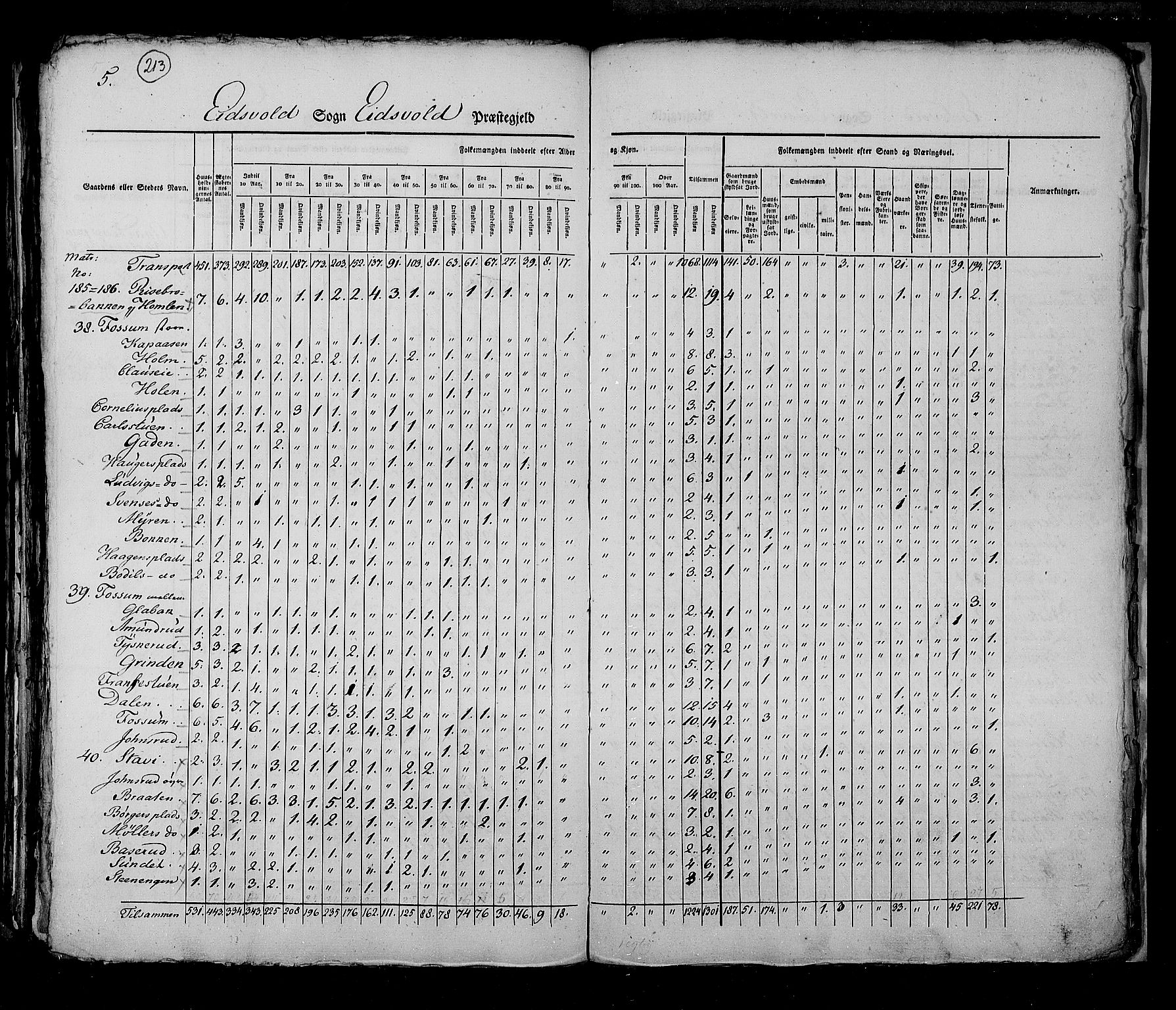 RA, Folketellingen 1825, bind 4: Akershus amt, 1825, s. 213