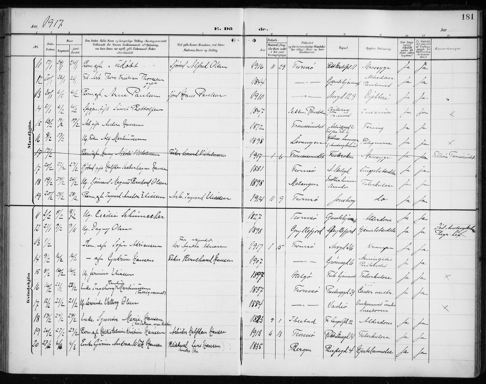 Tromsø sokneprestkontor/stiftsprosti/domprosti, SATØ/S-1343/G/Ga/L0018kirke: Ministerialbok nr. 18, 1907-1917, s. 181