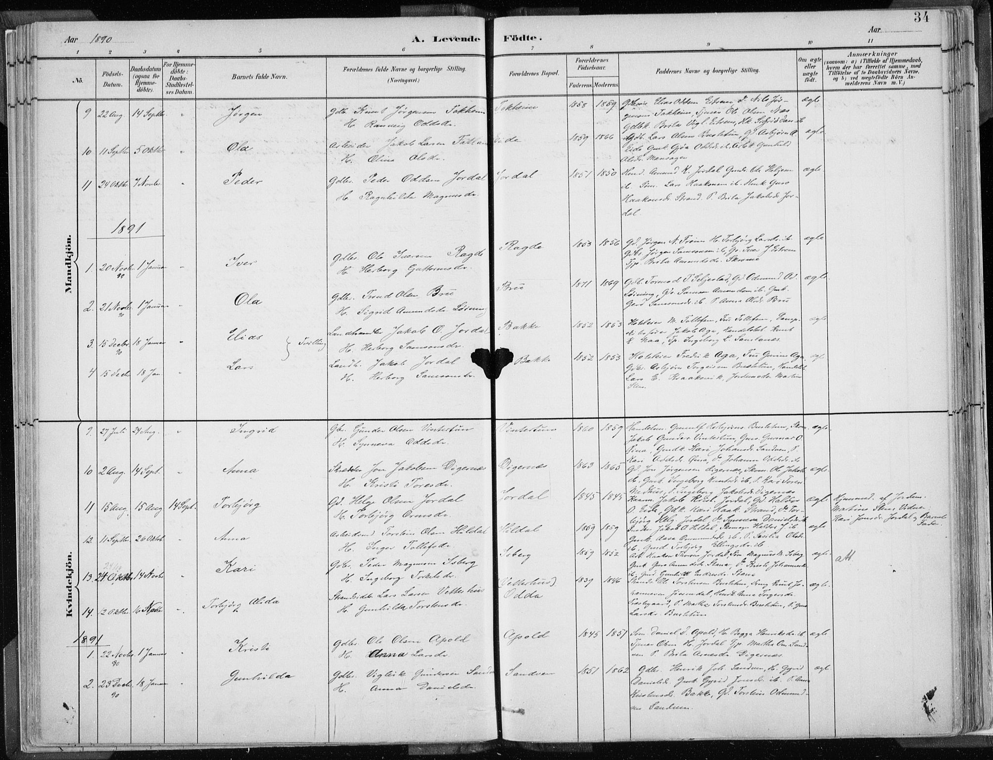 Odda Sokneprestembete, AV/SAB-A-77201/H/Haa: Ministerialbok nr. A  3, 1882-1913, s. 35