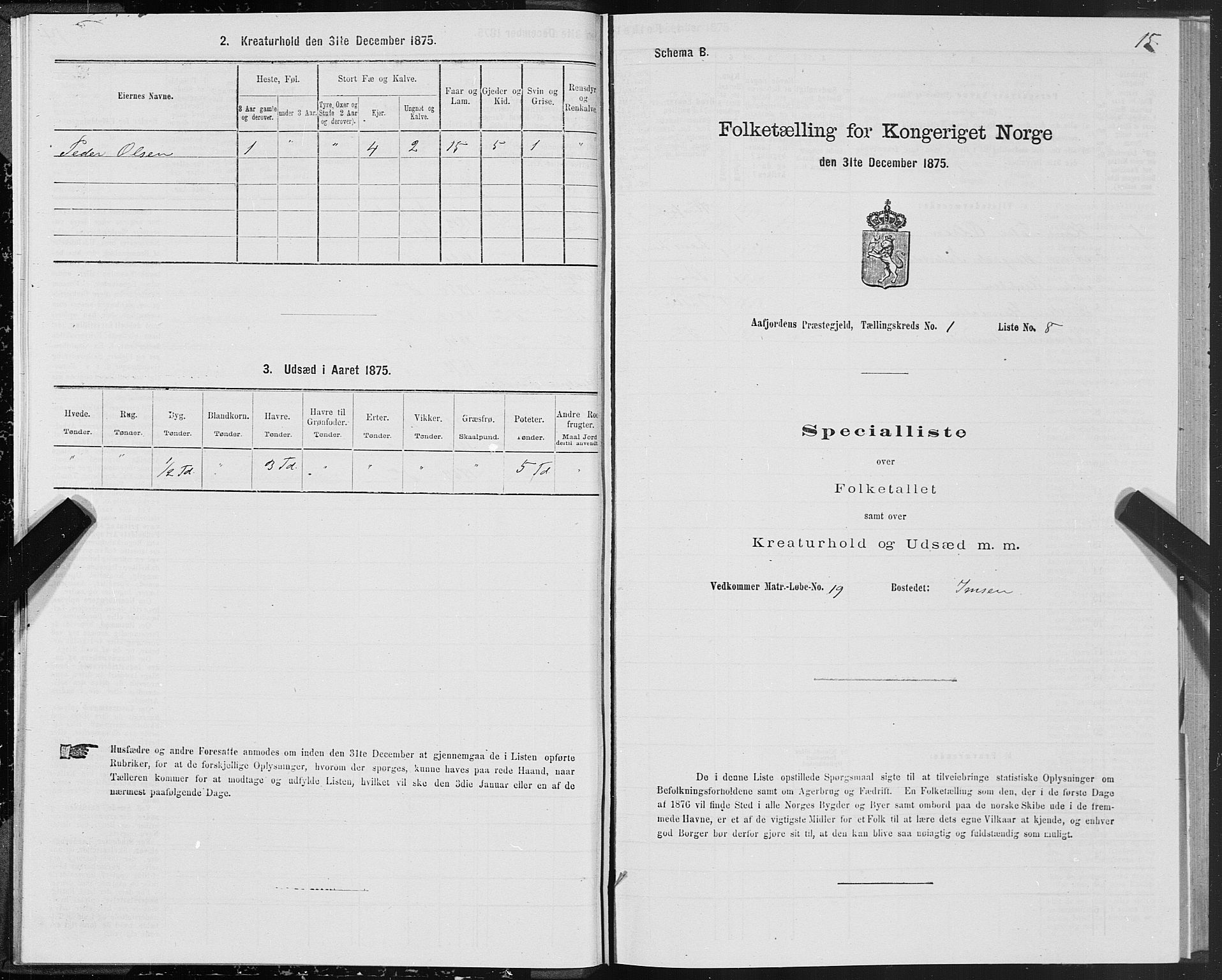 SAT, Folketelling 1875 for 1630P Aafjorden prestegjeld, 1875, s. 1015