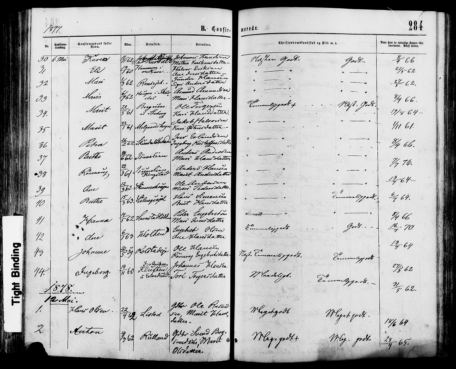 Sør-Fron prestekontor, SAH/PREST-010/H/Ha/Haa/L0002: Ministerialbok nr. 2, 1864-1880, s. 284